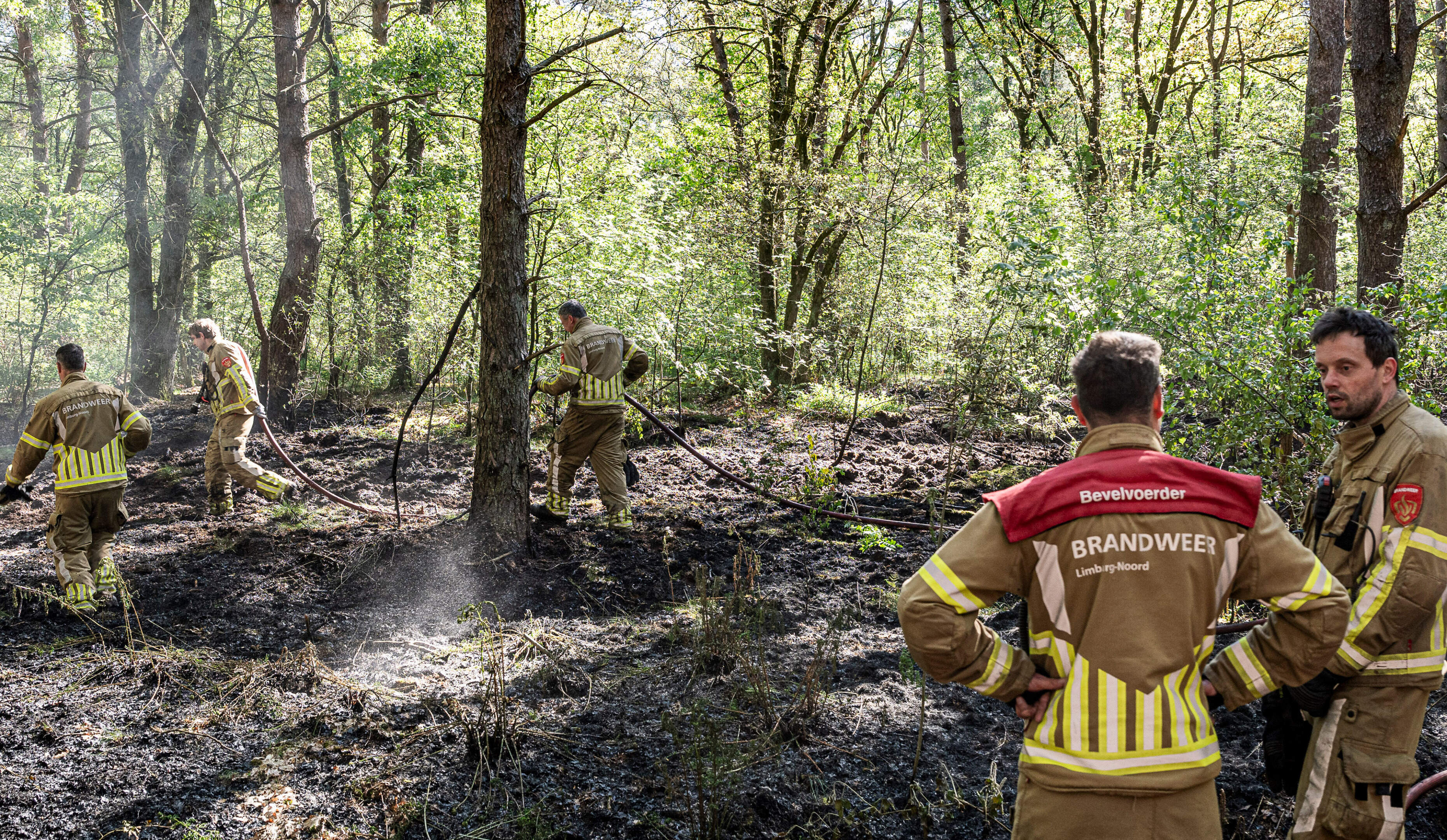 Daar gaan we weer, de vlammen slaan uit het bos: is dit de start van een hevig brandseizoen?