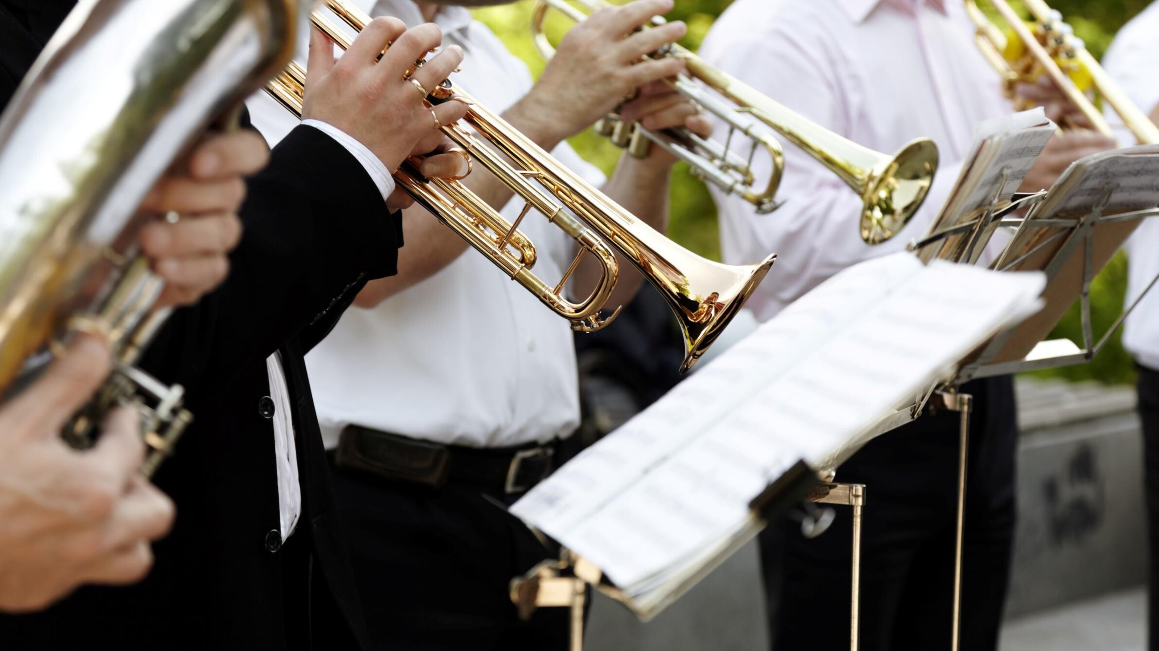 Dit zijn de vijftien Limburgse harmonieën en fanfares die meewerken aan Dagboek van een Herdershond
