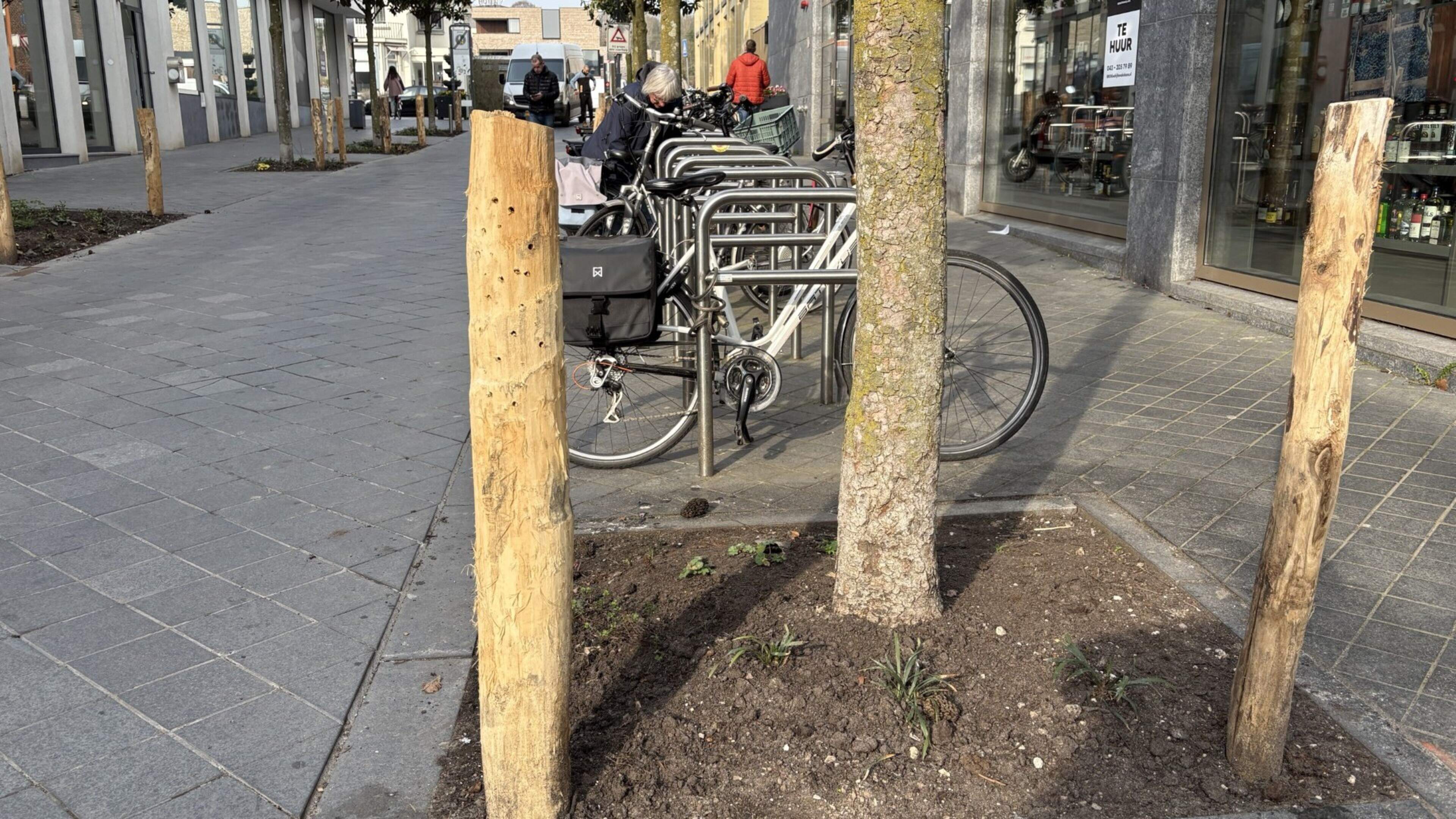 Gatenpaaltjes, de geknipte tenen van Maria, schoon schip op de begraafplaats en het wereldnieuws van