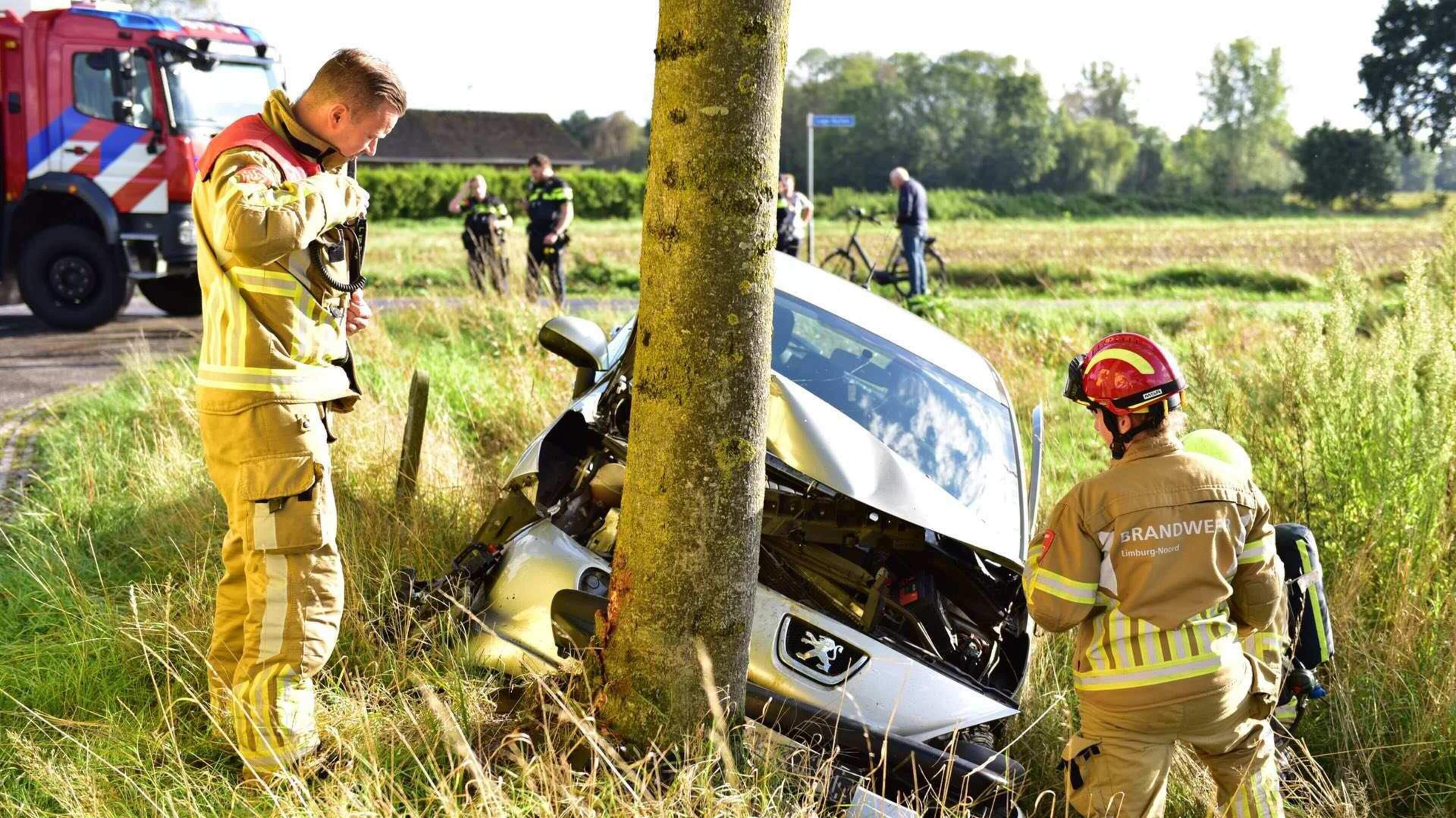 Auto botst frontaal tegen boom in Nederweert