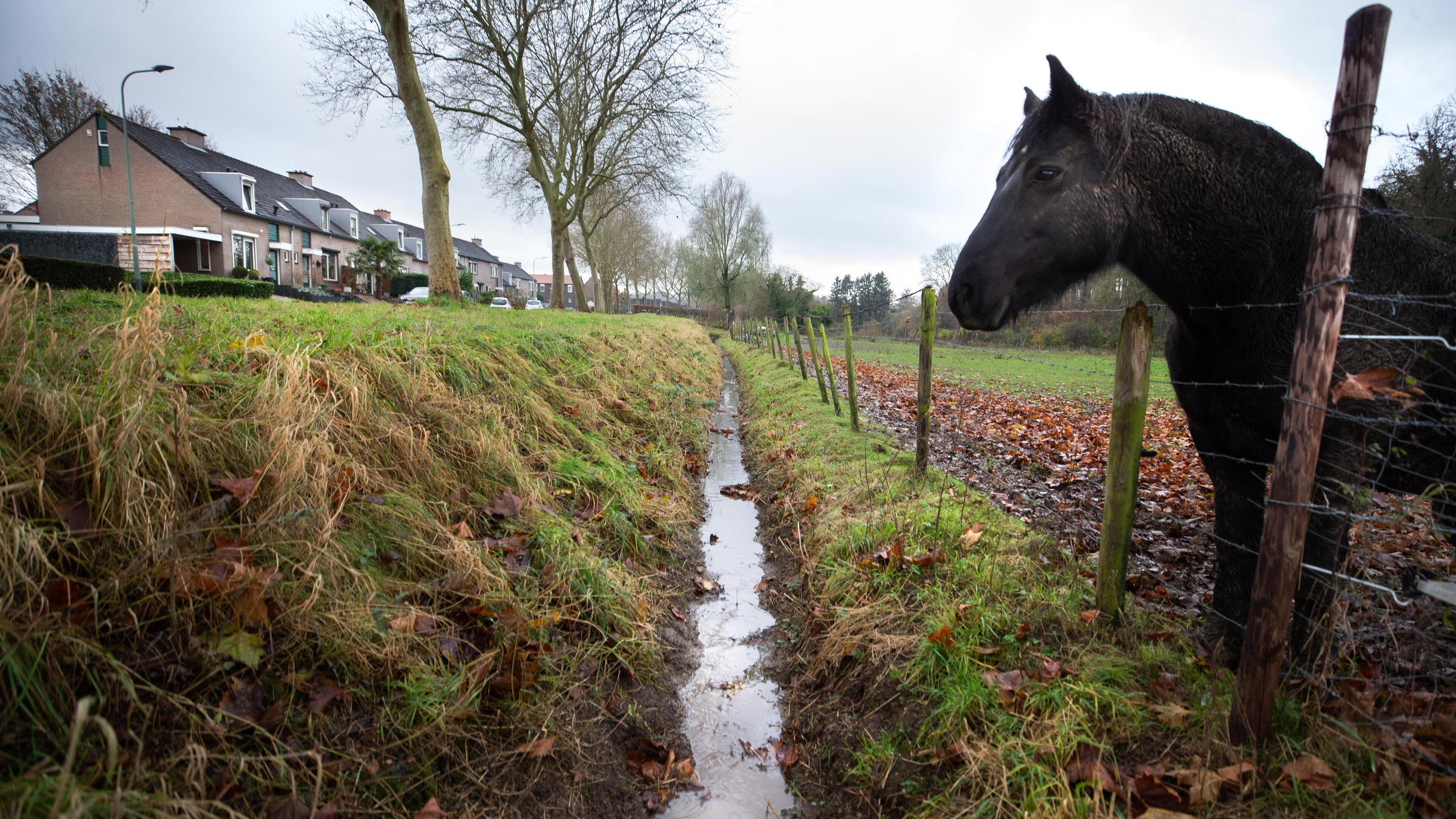 Heel Hekerbeek op de schop: opwaardering van de wijk en maatregelen in de strijd tegen wateroverlast