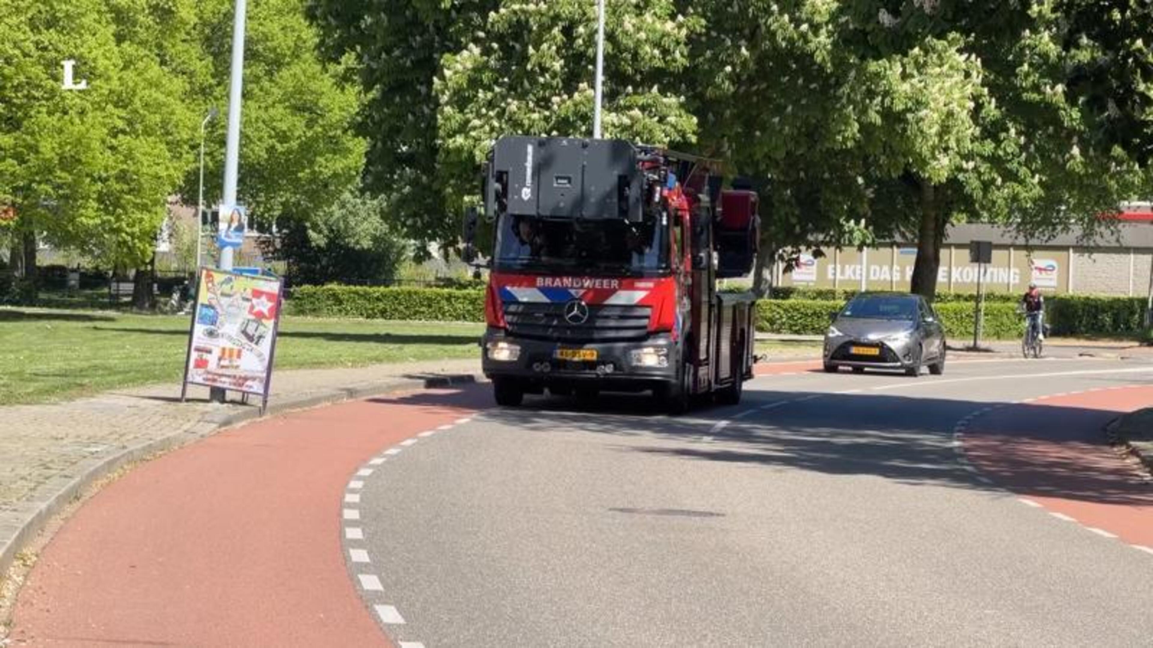 Ara ontsnapt bij kinderboerderij Maastricht