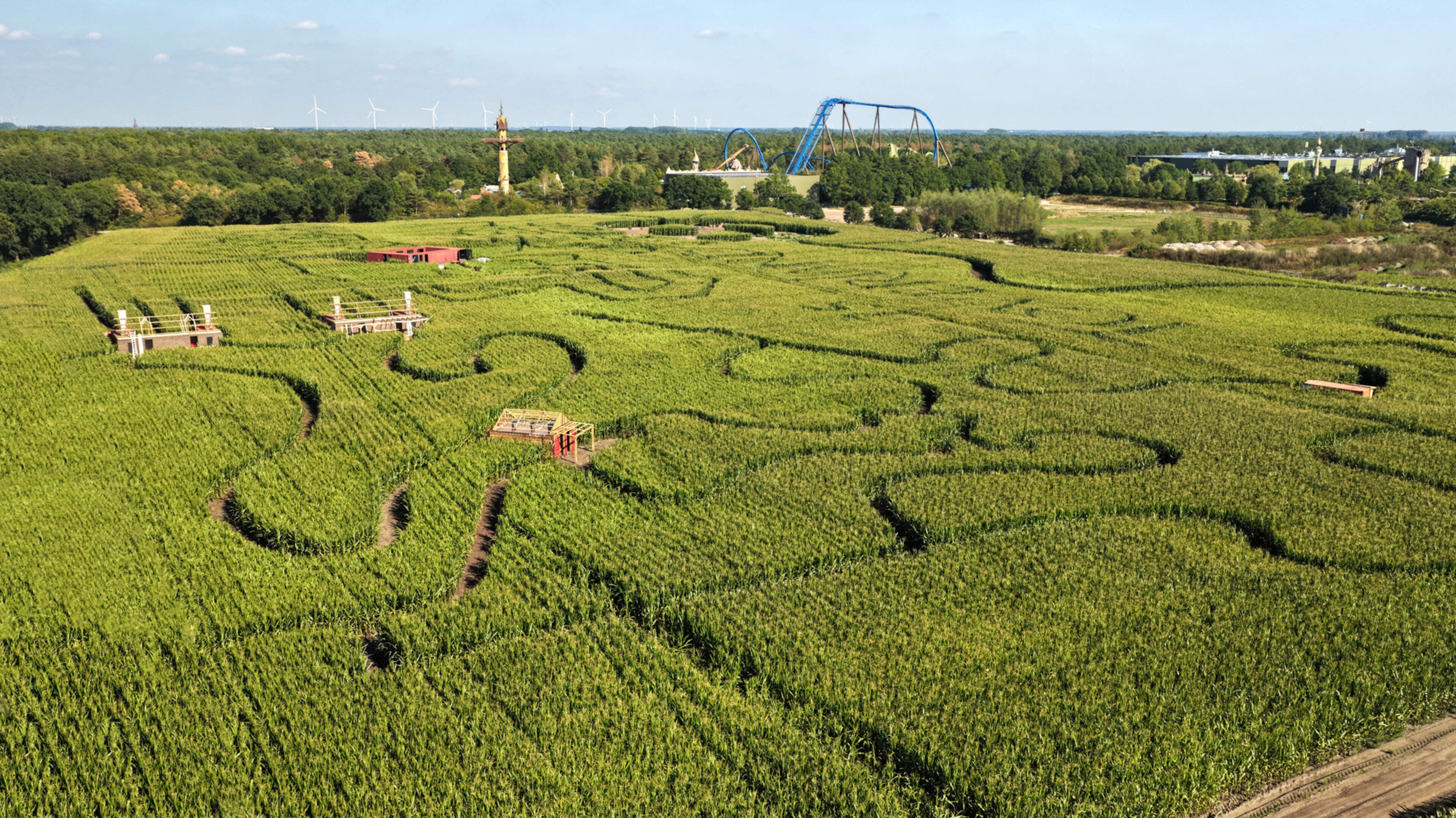 Halloween-liefhebbers kunnen dit jaar in Toverland verdwalen in een maïsdoolhof van meerdere hectare