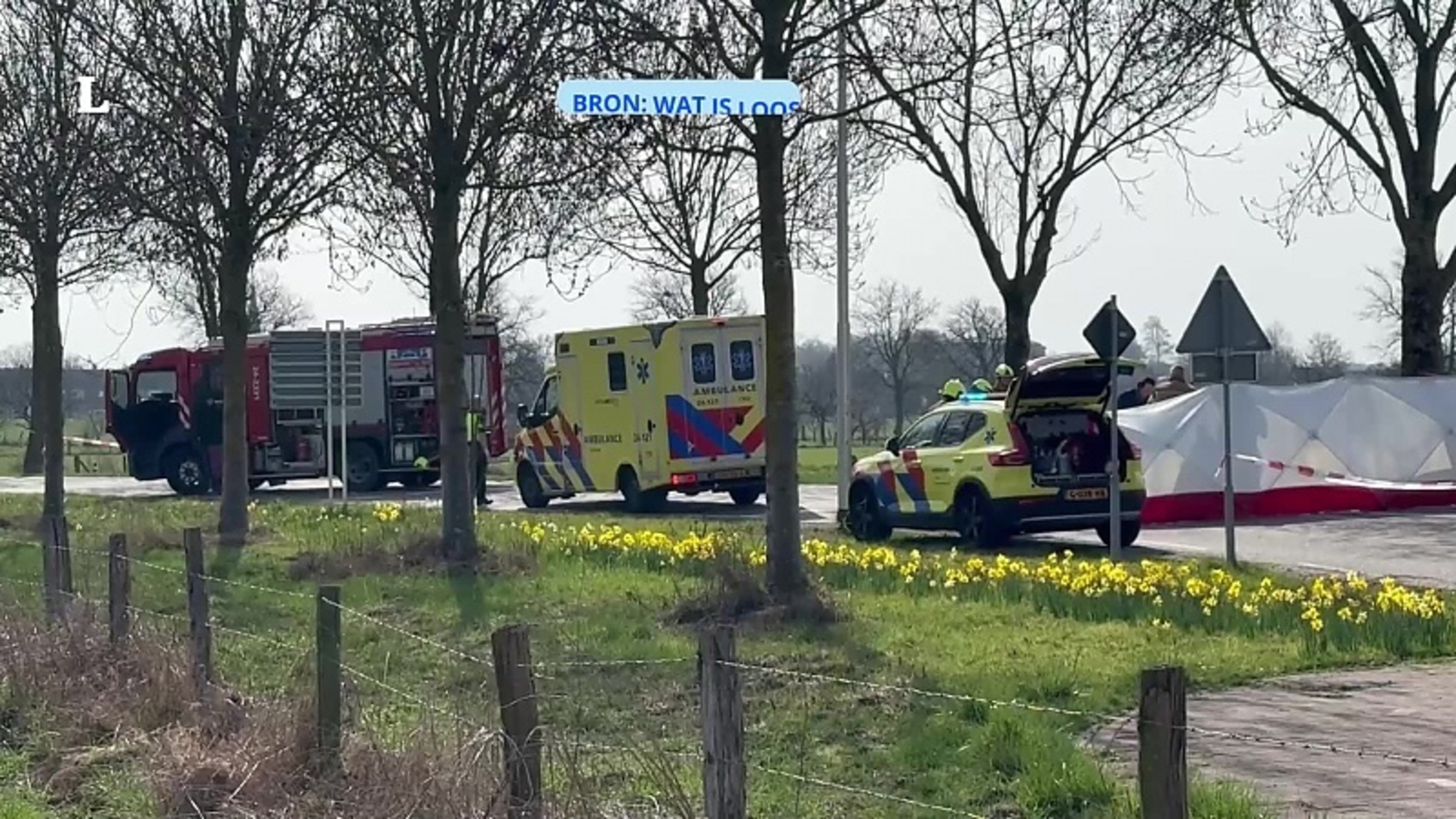 Automobilist gereanimeerd na botsing tegen boom Prins Alexanderlaan Rotterdam.