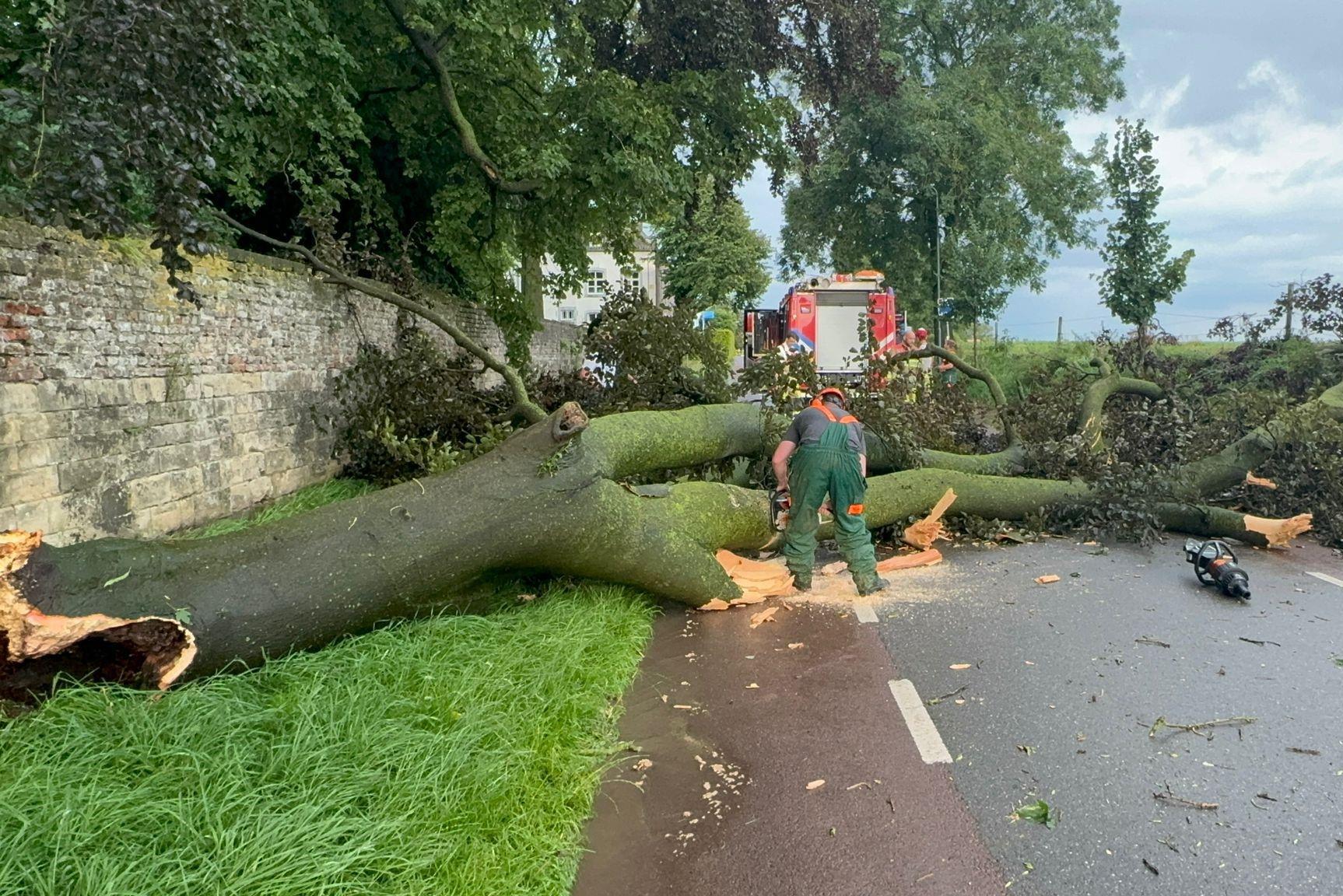 Na een tropisch warme dag zorgt fel onweer voor problemen in Limburg: stormschade en ondergelopen st