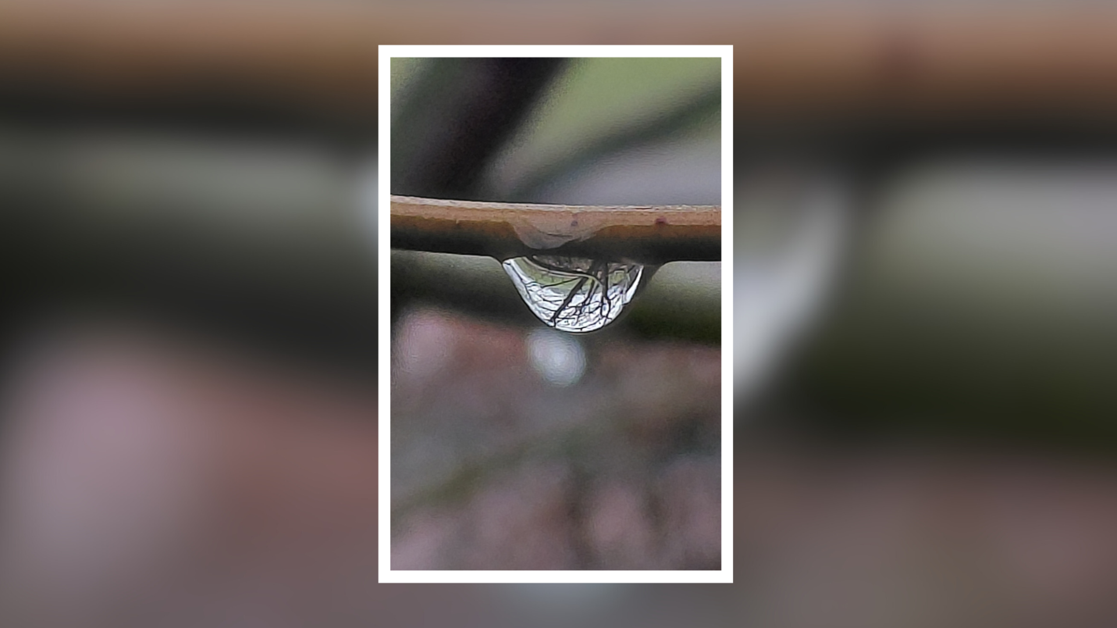 Weekwinnaar VIA-fotopagina’s ‘Week in Beeld’