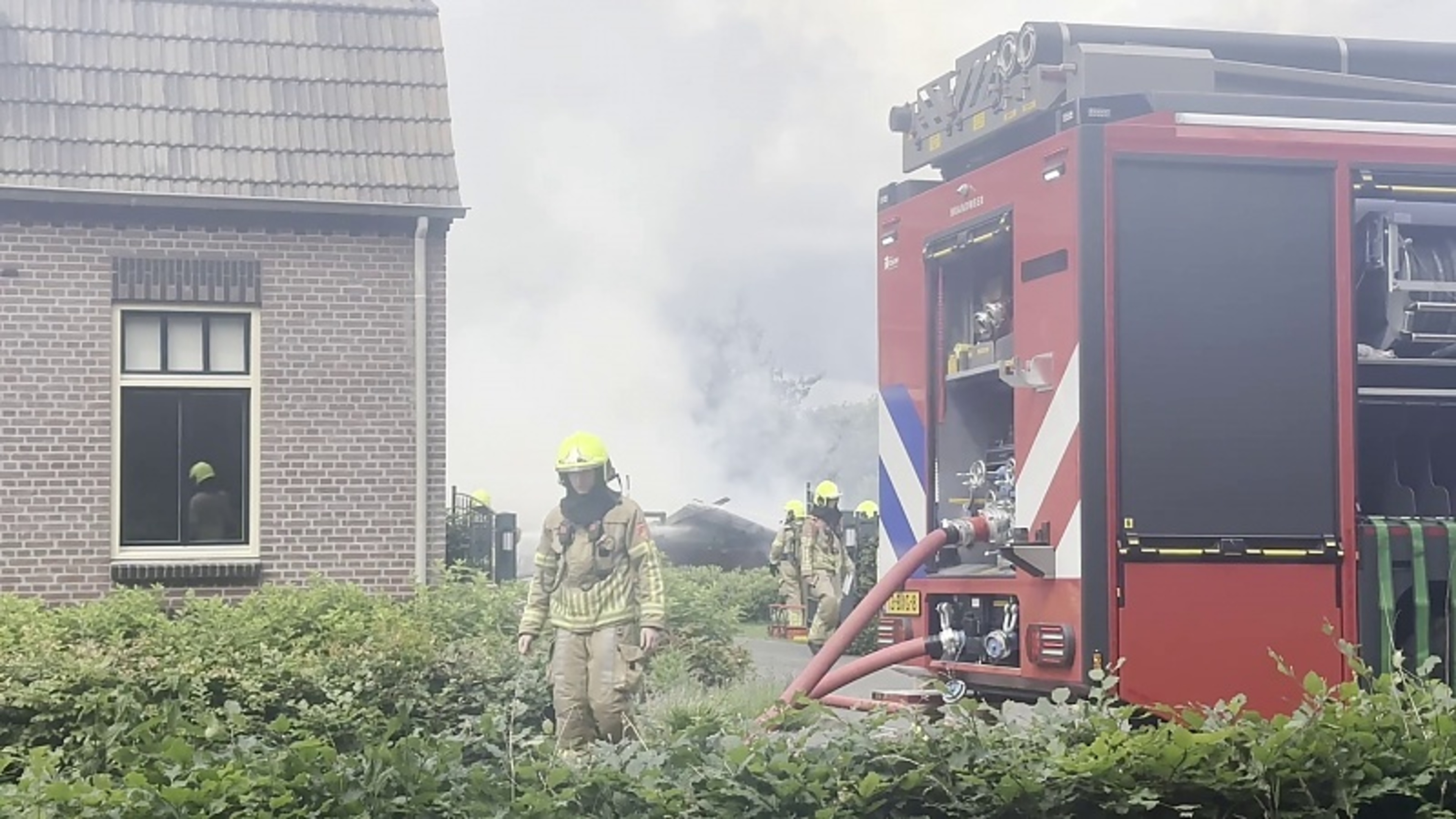 Brand Tienray