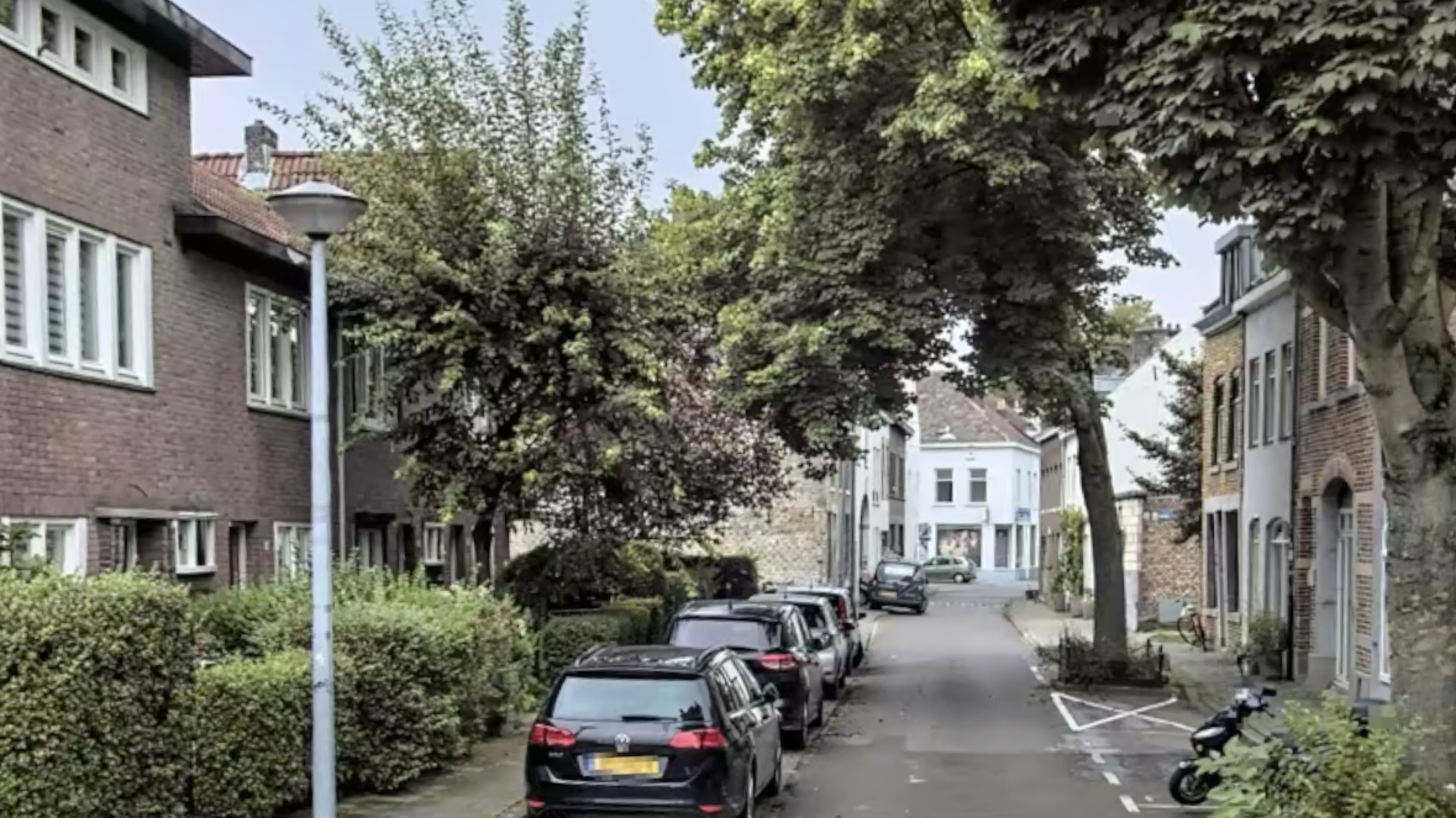 Vogelnestkastjes Maastricht moeten snel weg: ‘Waarom nu al?’