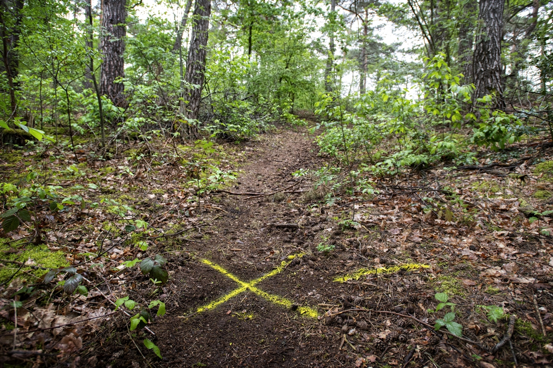 Dubbele moord Brunssummerheide: oma Diny op 400 meter van huis gedood
