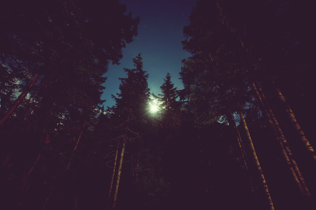 Nacht van de nacht: wandelen in de duisternis in Schinveld