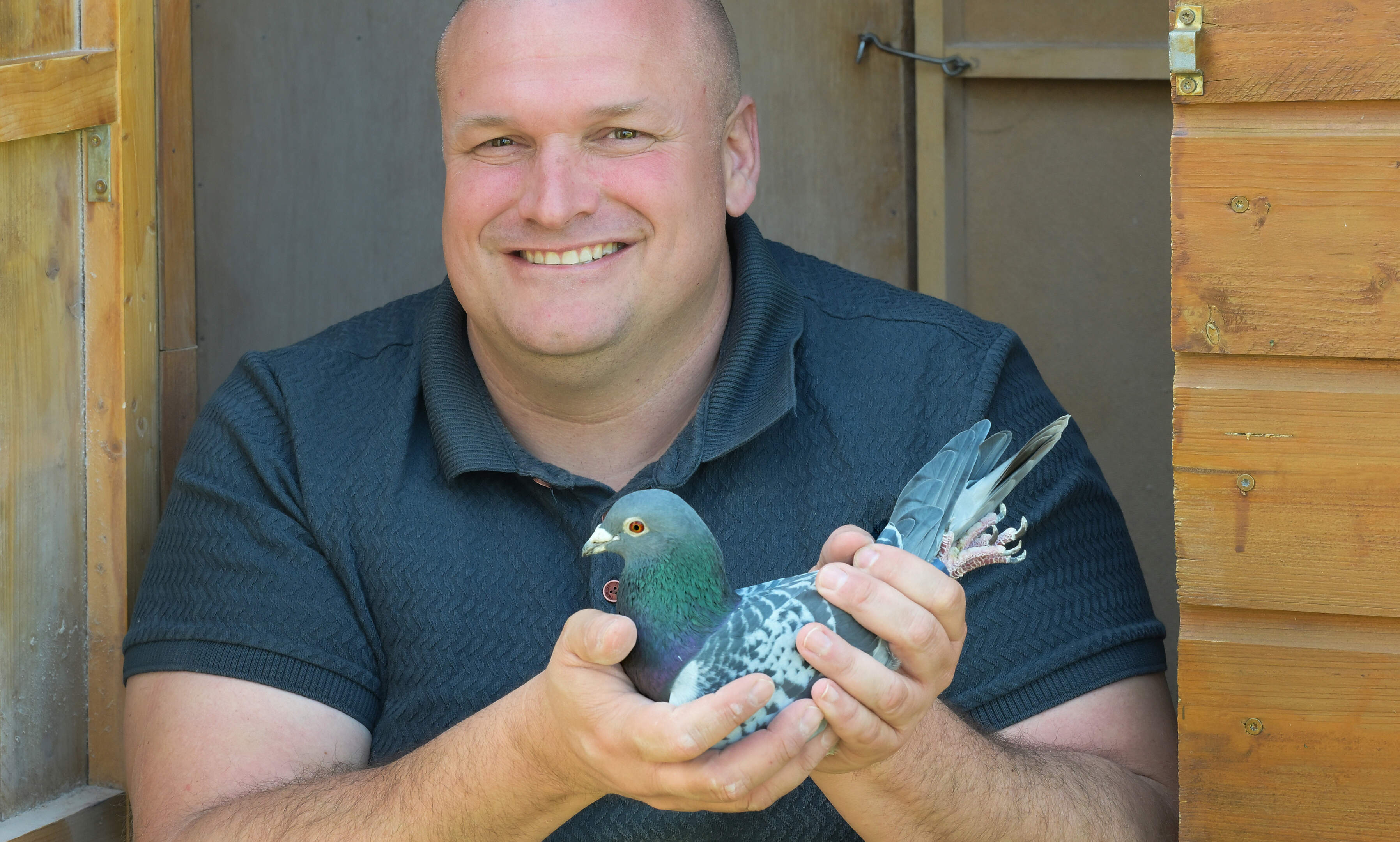 PDV Wederzien mikt op verjonging: ‘Ik zou anderen graag de spanning van het duivenmelken laten ervar