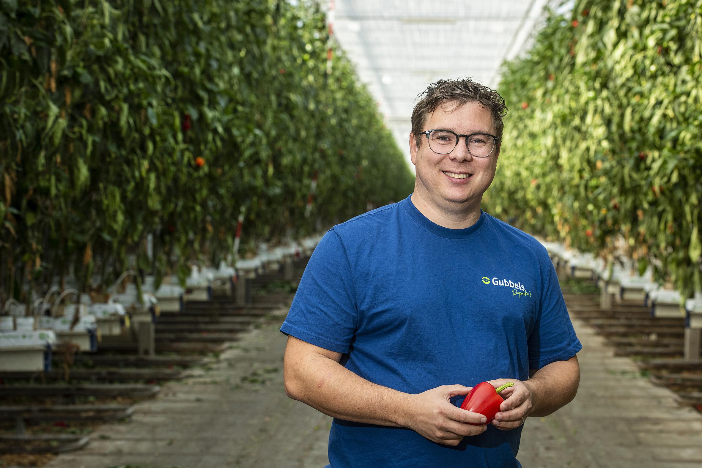Paprikateler Gubbels in Maasbree neemt failliete plantenkweker West Plant Groep over met bijna de he