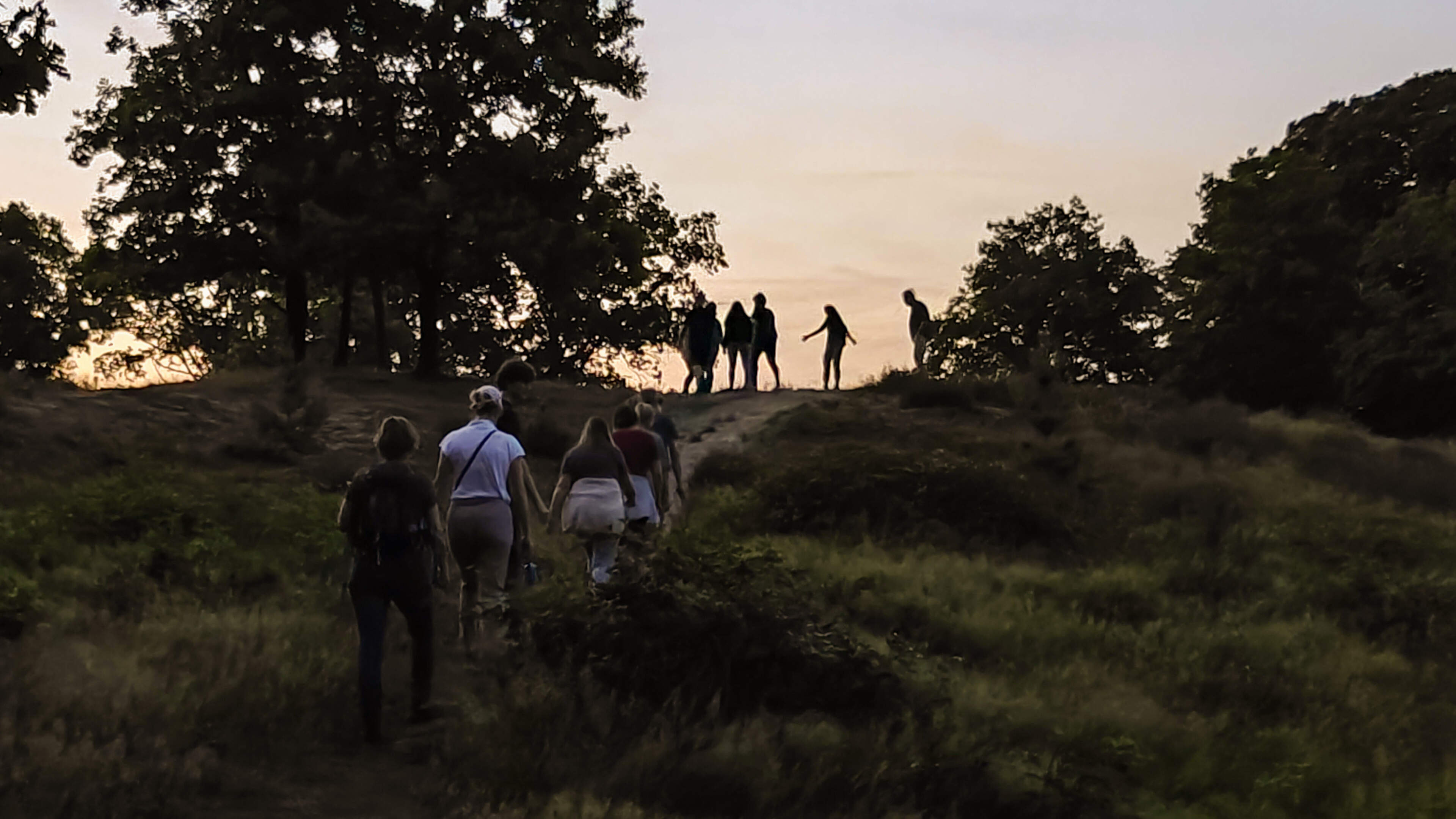 Midzomernachtwandeling vol natuurbeleving door het Leudal