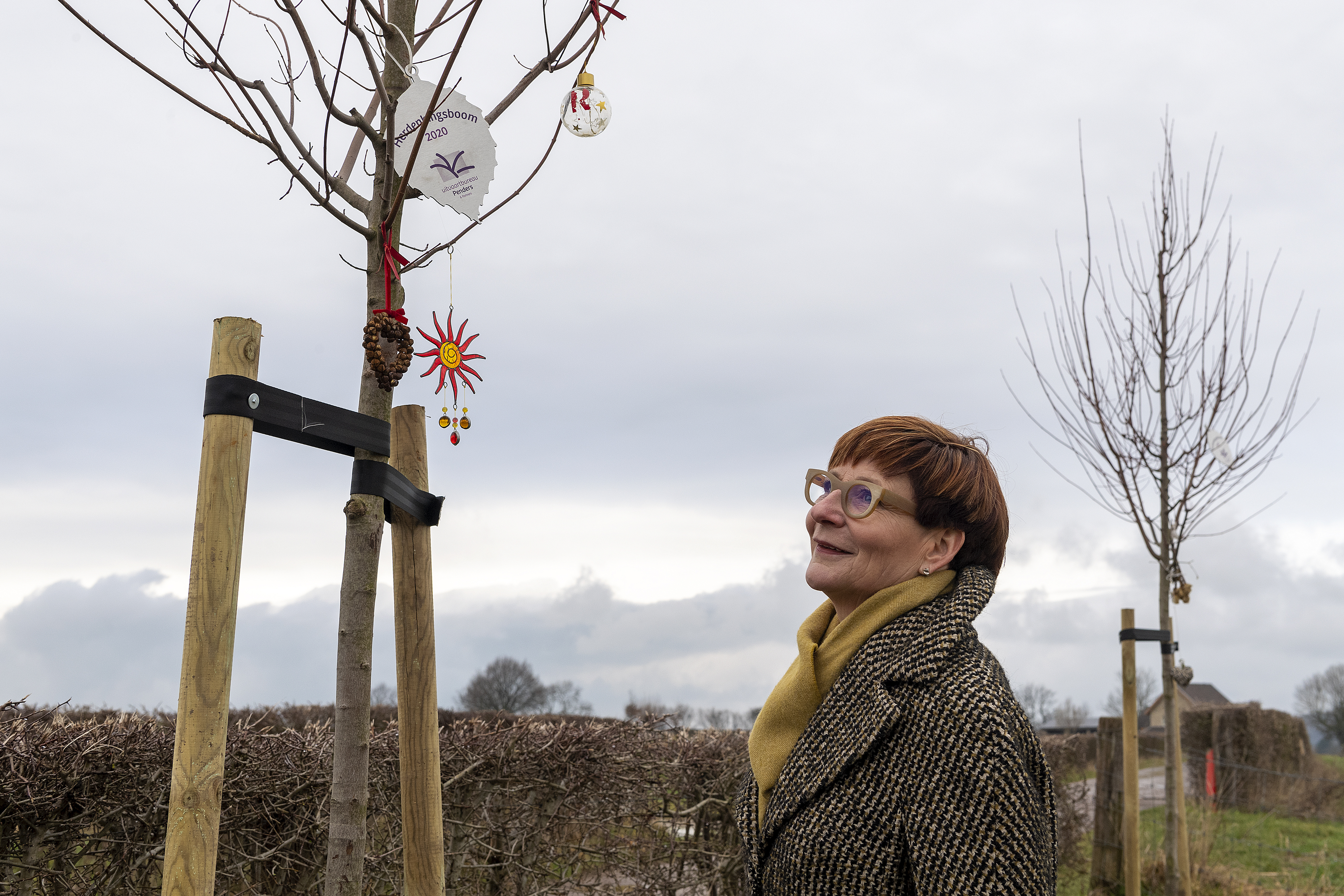 Wat in Vijlen begon met één boom is uitgegroeid tot een herdenkingsroute voor overledenen van zeven 