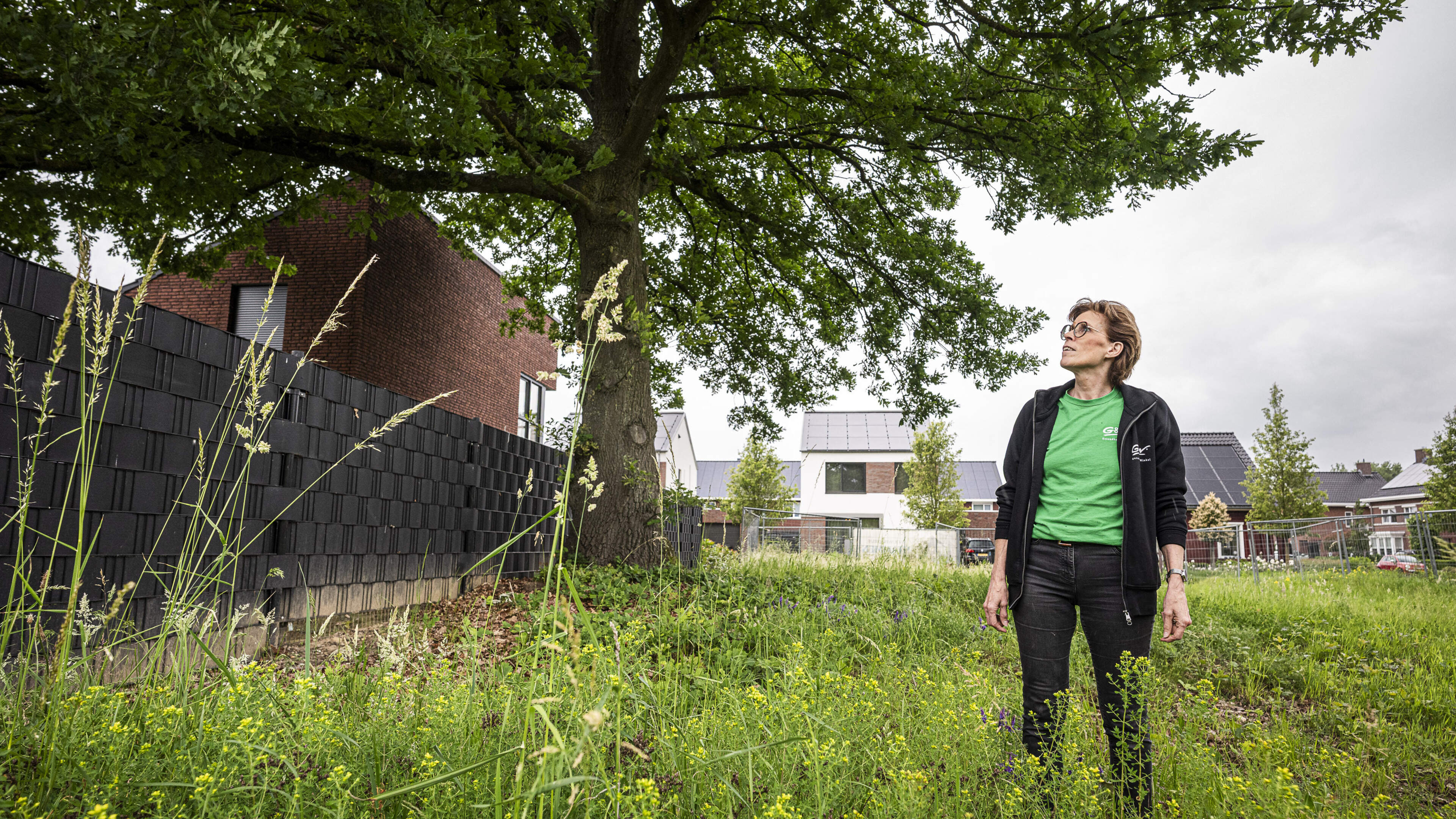 Buren moesten hun huis verplaatsen voor beschermde zomereik en strijden nu tegen kap van boom op leg
