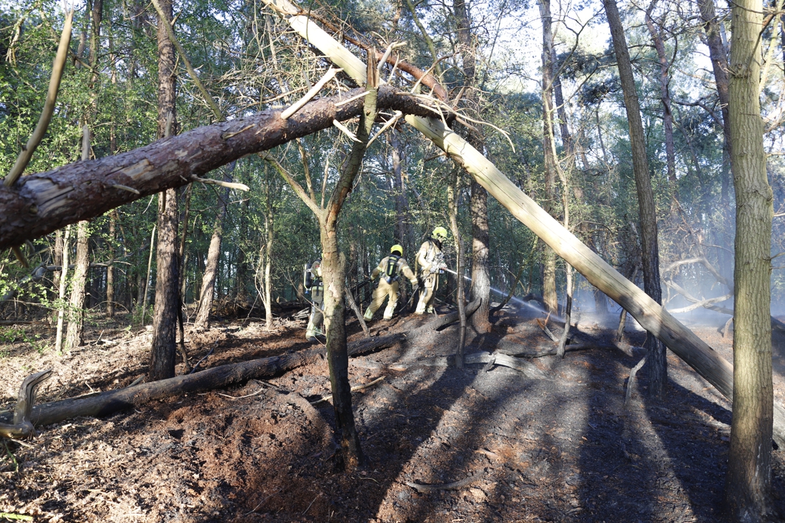 Bosbrand in Merselo onder controle