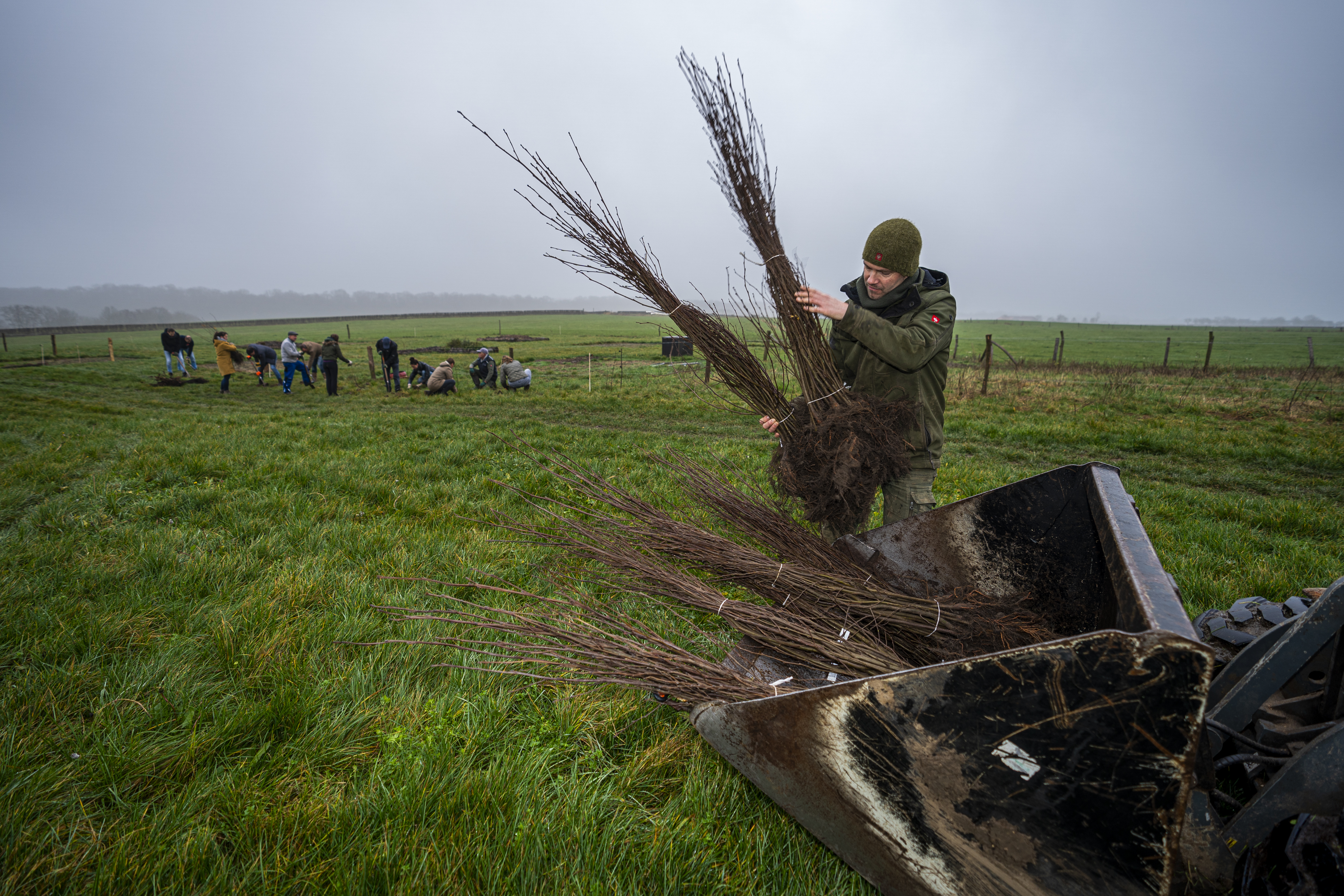 Japanse peren, peperboompjes of daslook; in Sint Geertruid groeit een bos om van te smullen