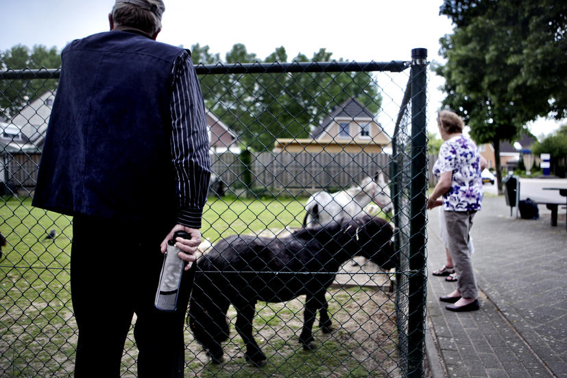Inspectie: niets mis met dieren kinderboerderij