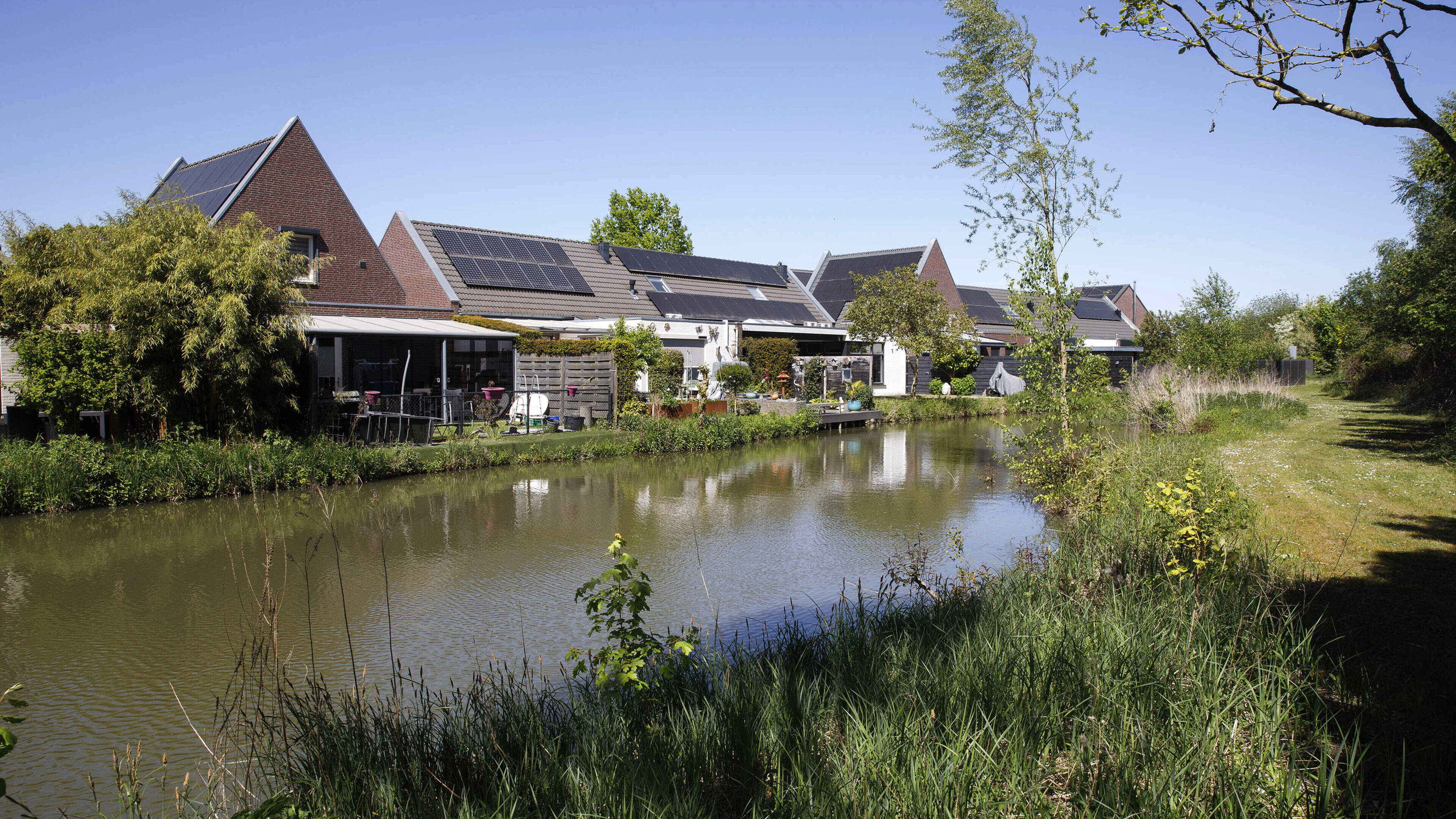 Ratten graven oevers af: wonen in een ‘boerderijwoning aan het water’ pakt in Haelen minder idyllisc