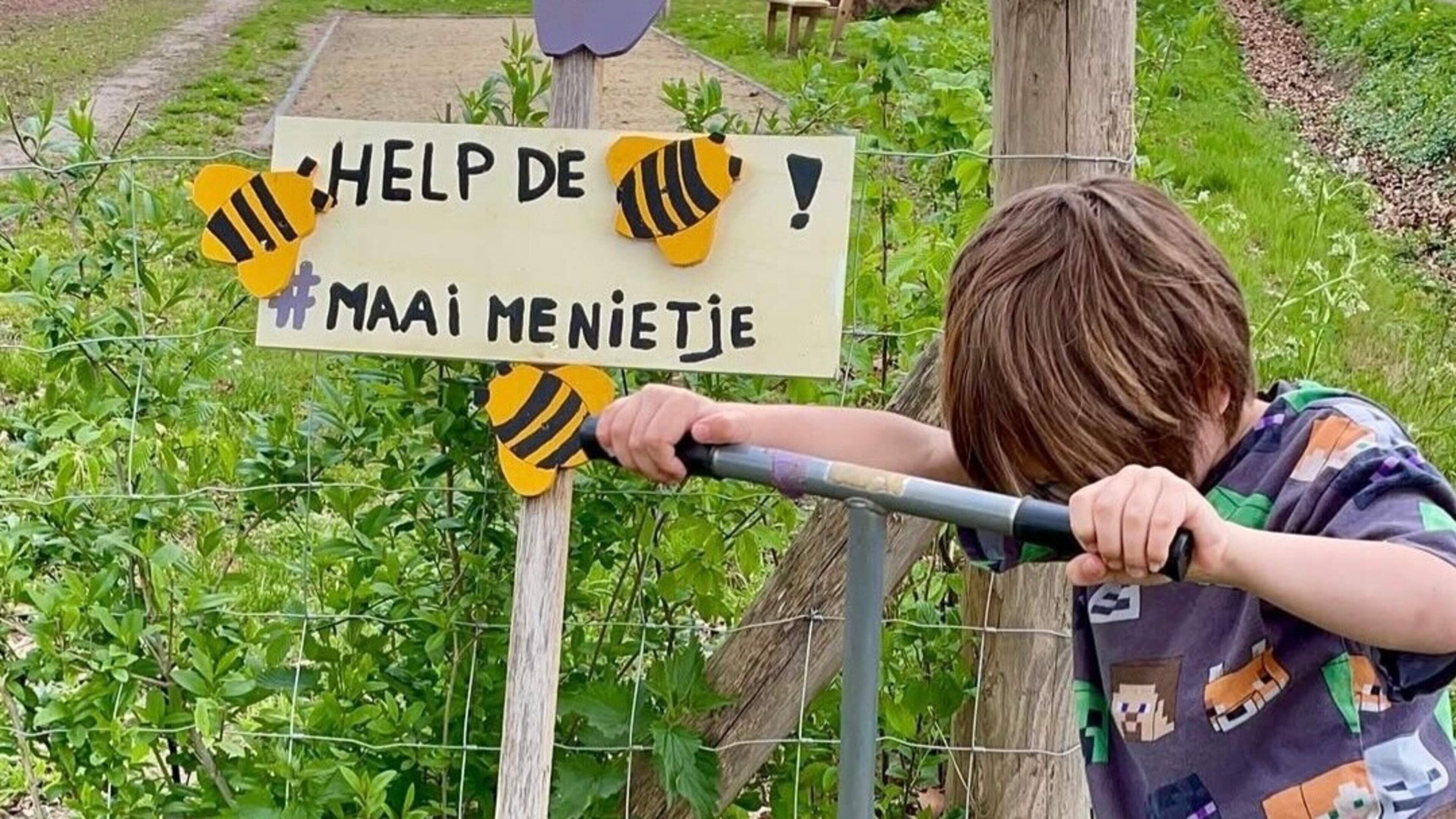 Maai me niet: oproep aan inwoners van Sevenum, Kronenberg en Evertsoord om gras te laten groeien voo