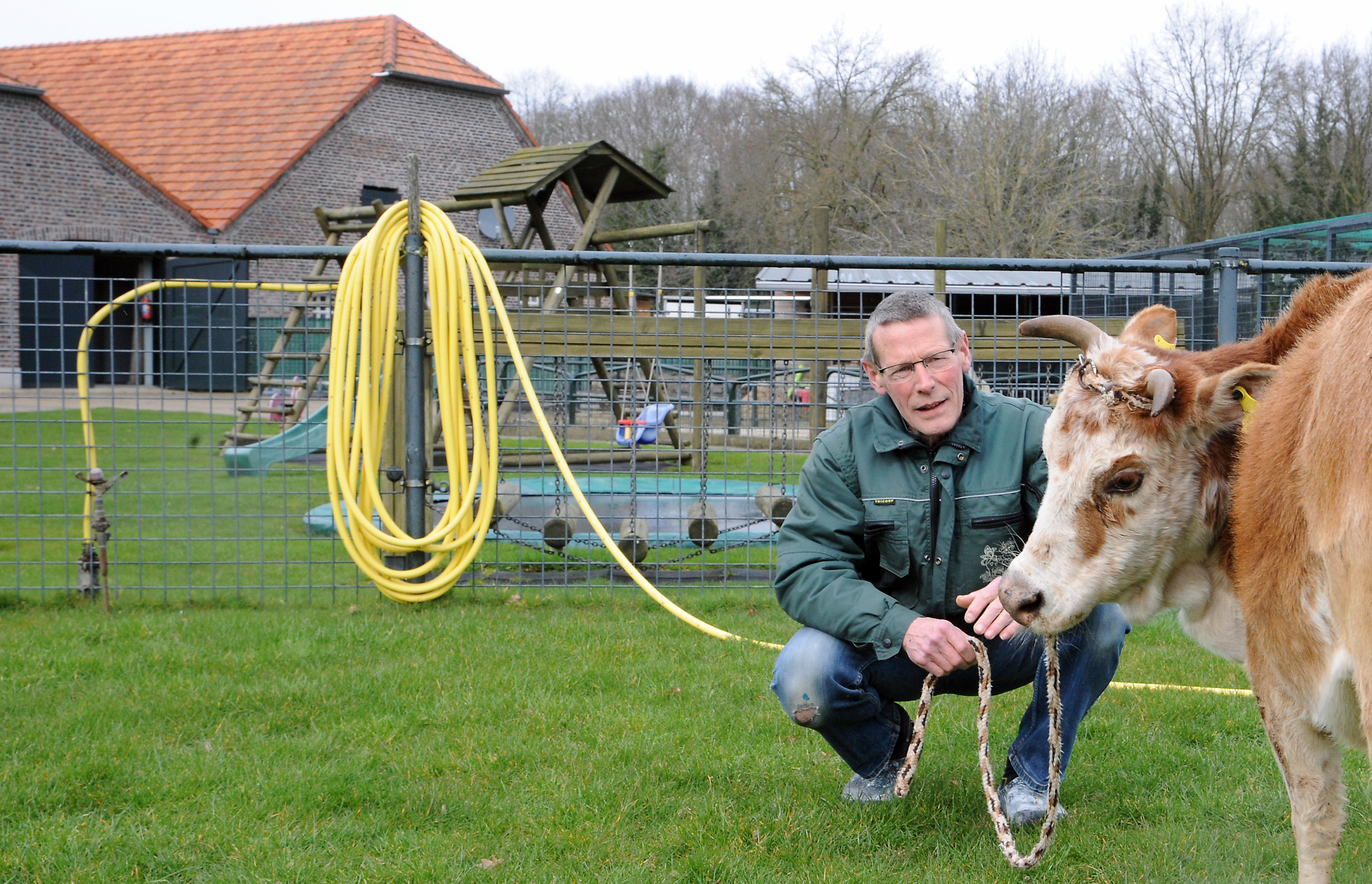 De kinderboerderij van Theo in Wellerlooi is niet meer: ‘Het is nu stil als ik ’s morgens de deur op