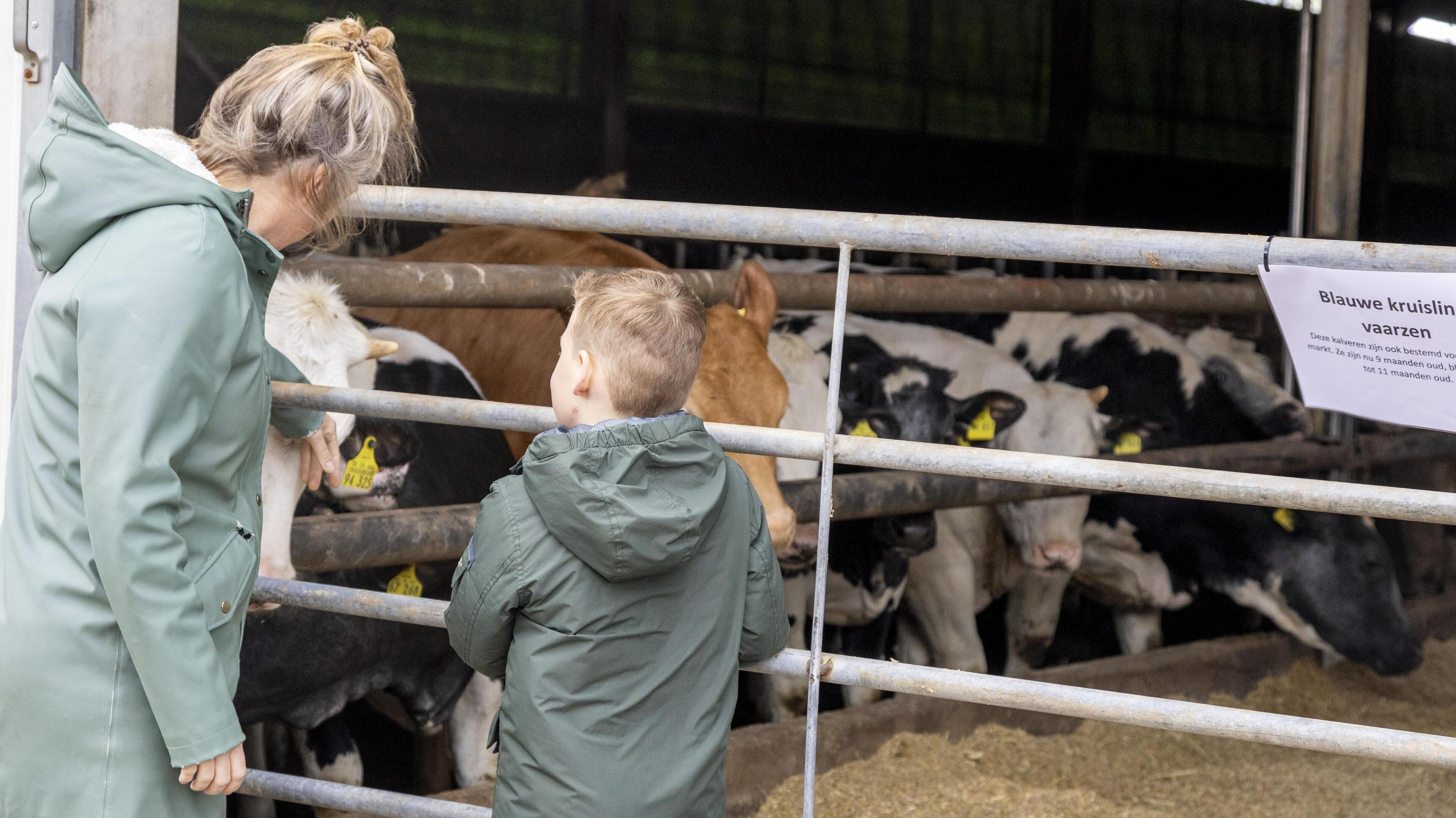 Veel bezoekers verwacht bij twaalfde editie Loeren bij de Boeren: ‘We willen de kloof tussen boer en