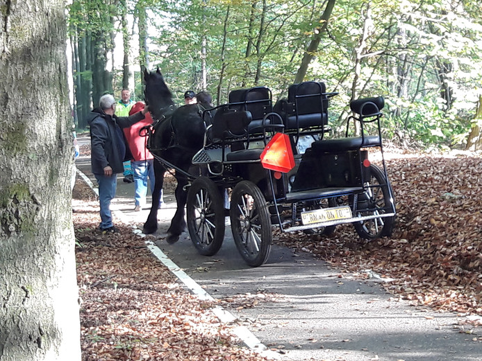 Harrie Kessels siert straatbeeld met rijtuigen en praalkoetsen