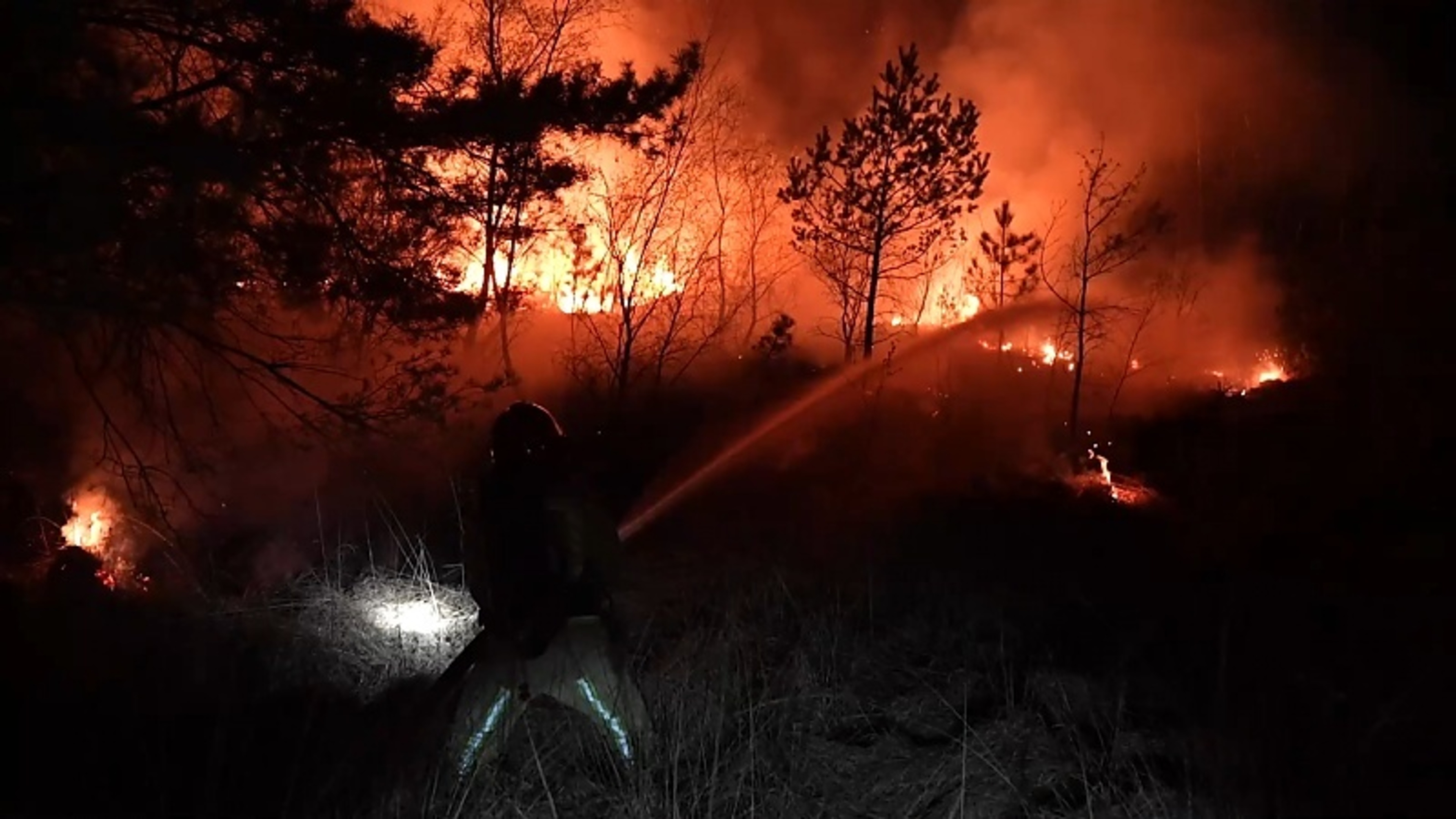 Onderzoek naar ‘mogelijke brandstichting’ na drie natuurbranden op één dag tussen Weert en Maarheeze