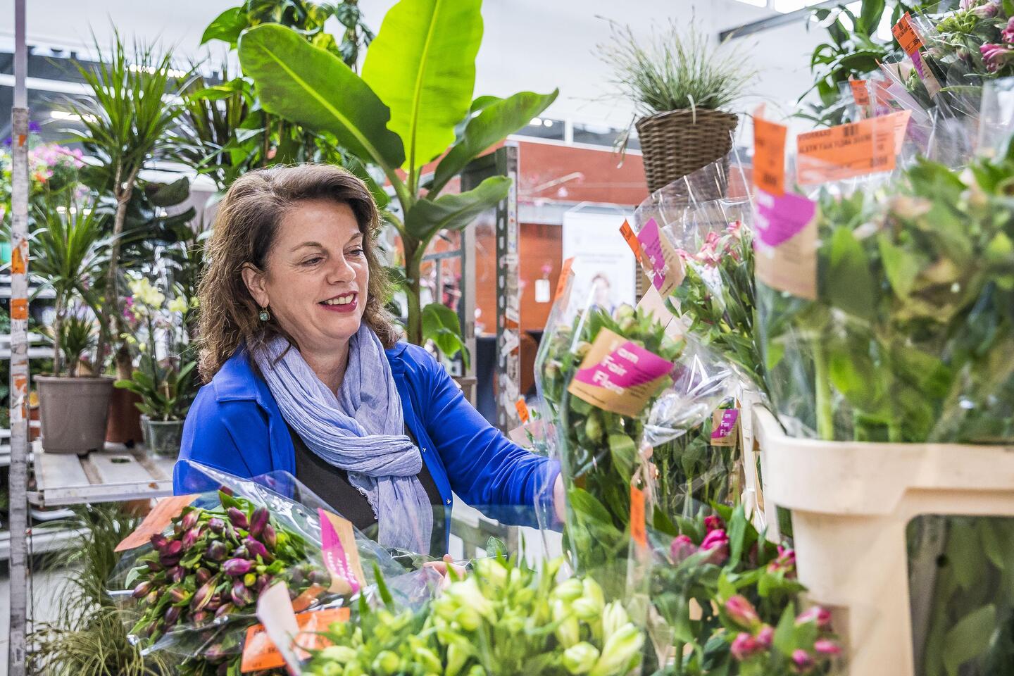 Groothandelsformule Florazon in Venlo jubileert: 'We zijn gegroeid en dat  heeft de wereld gezien' | De Limburger