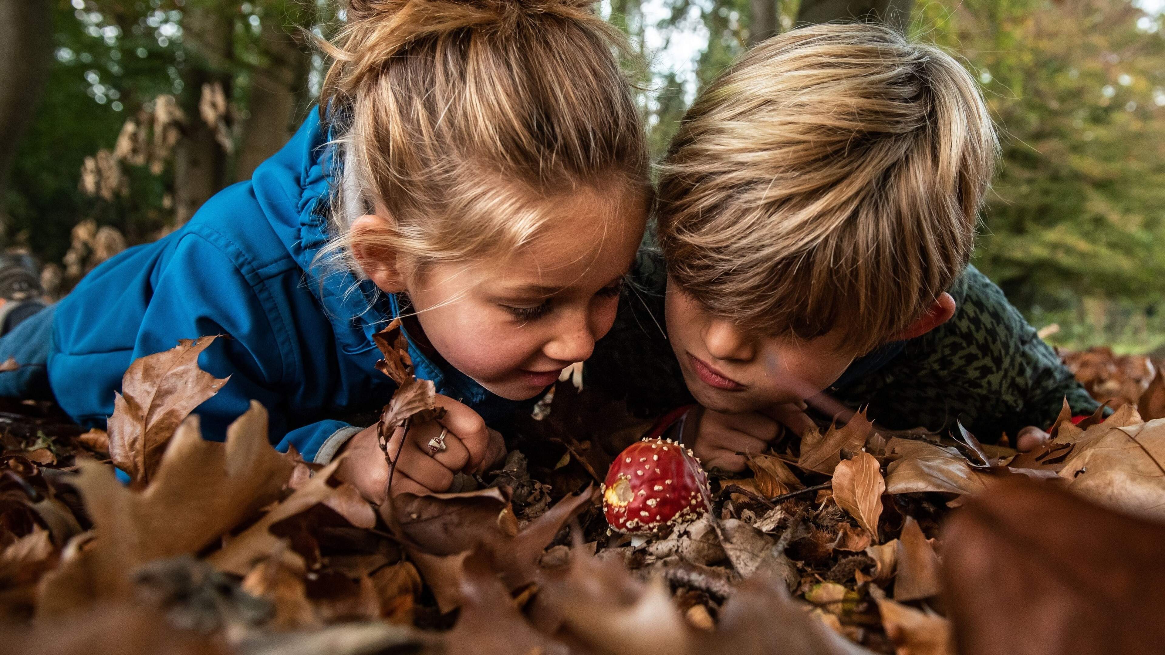 Natuurmonumenten biedt in de herfst activiteiten voor jong en oud op de Sint-Pietersberg