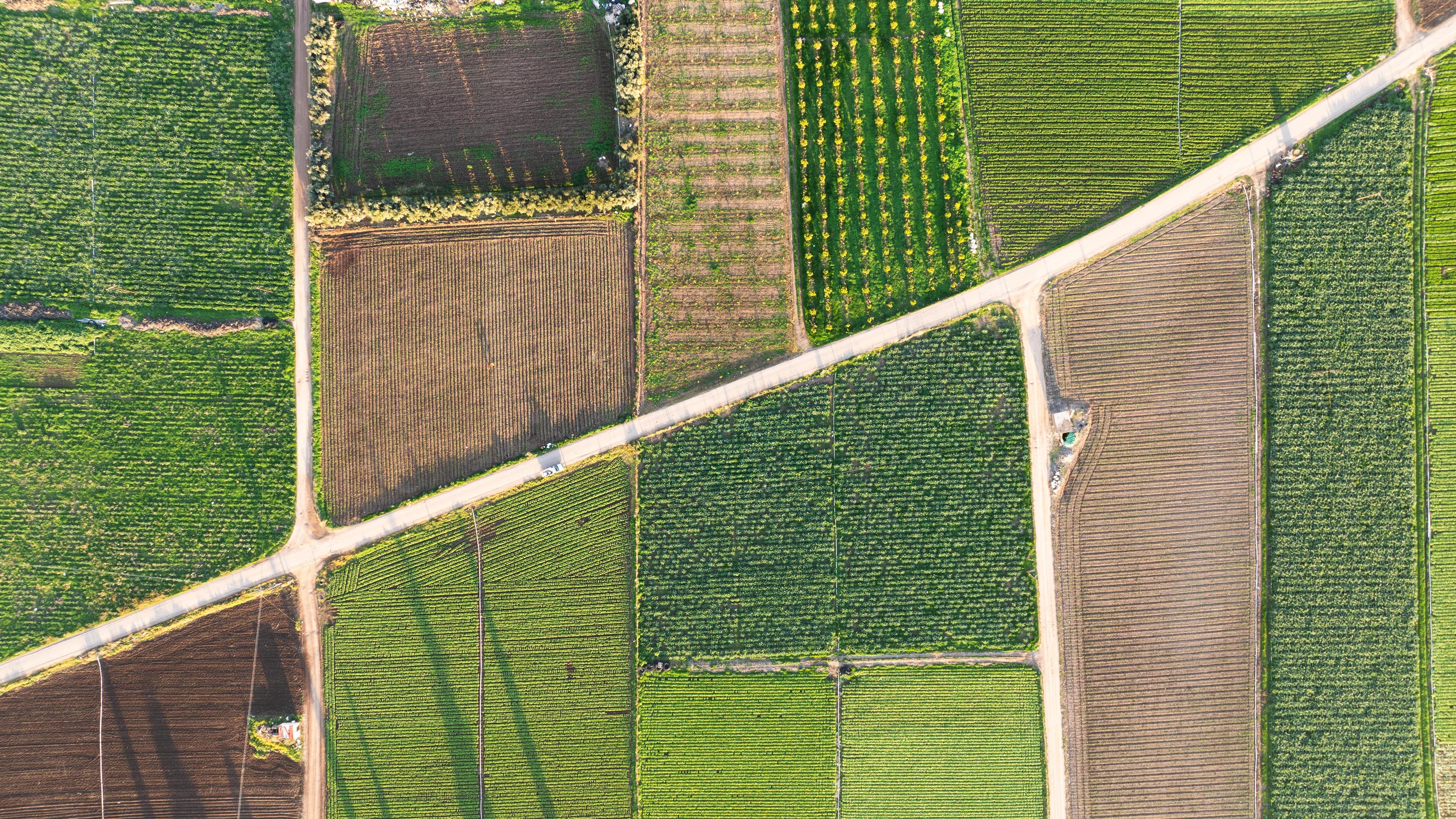 Hulp voor agrariërs in Beekdaelen bij verduurzaming dankzij actie ‘1001ha’