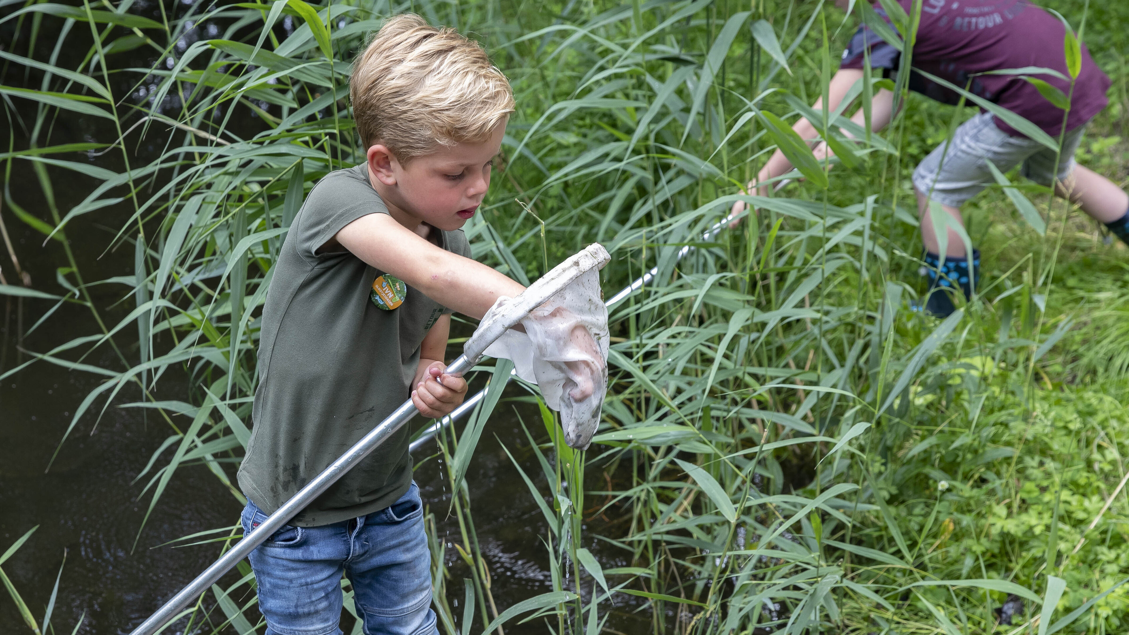 Beestjes vangen en slootje duiken tijdens de Slootjesdag