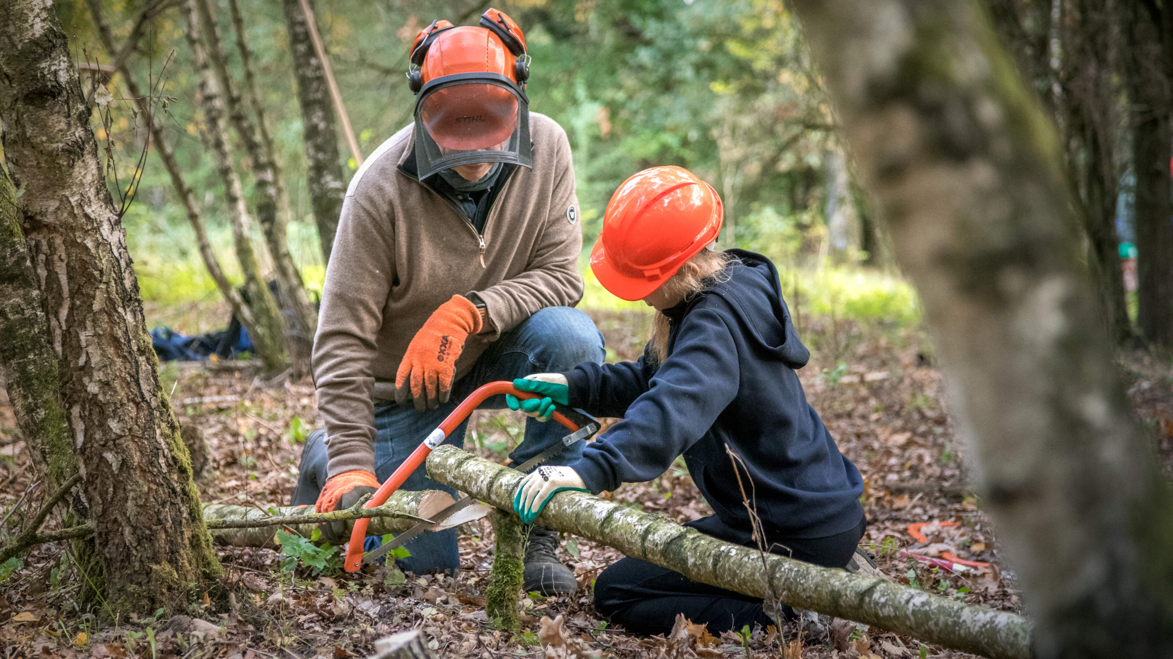 Provincie wil dat elk basisschoolkind vaker les krijgt in Limburgse natuur en op platteland: ‘Het ve