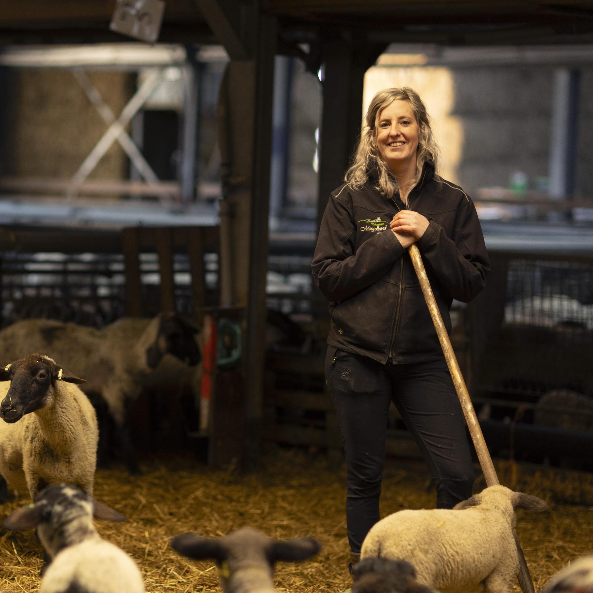 Schapenhoudster Janine uit Epen vond haar liefde dankzij 'Boer zoekt vrouw',  'Blijf vooral lekker jezelf, ongeacht wat de mensen van je vinden' | De  Limburger
