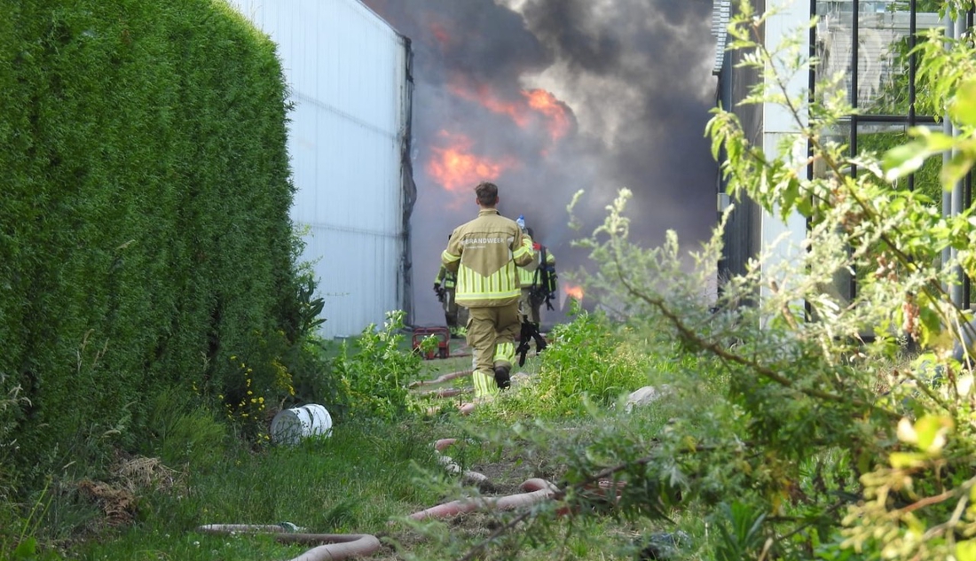 Video: Hulpdiensten massaal uitgerukt voor grote brand in kwekerij Meterik