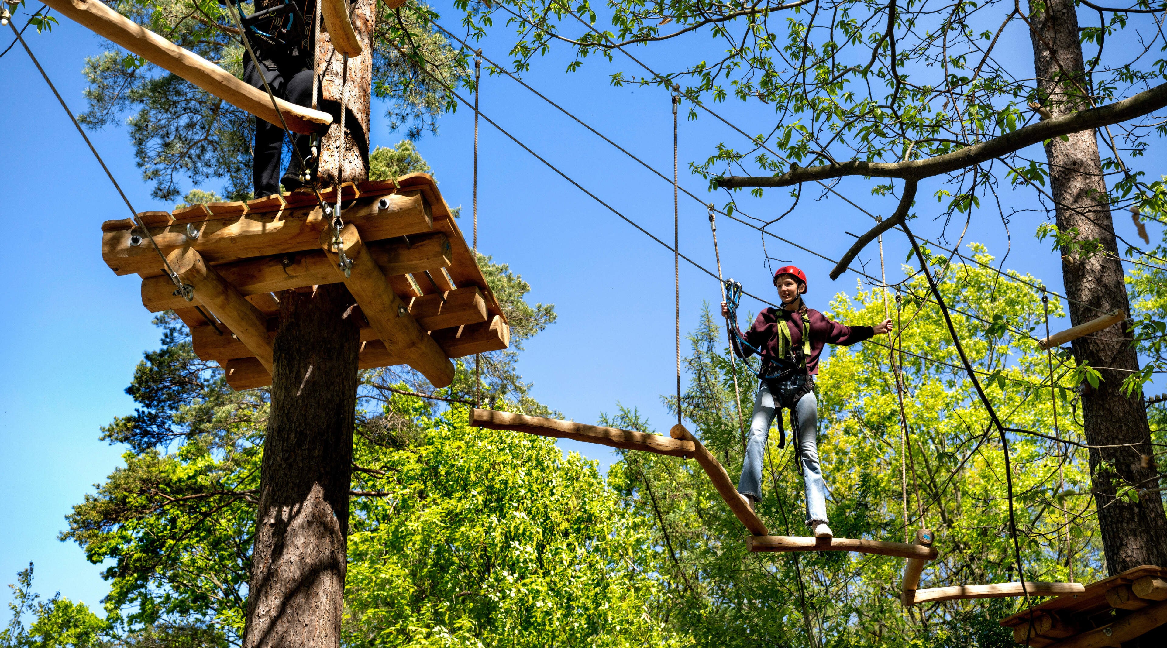 Nieuw klimpark in Brunssum is open: ‘Maar boven de 120 kilo moet je op de grond blijven’
