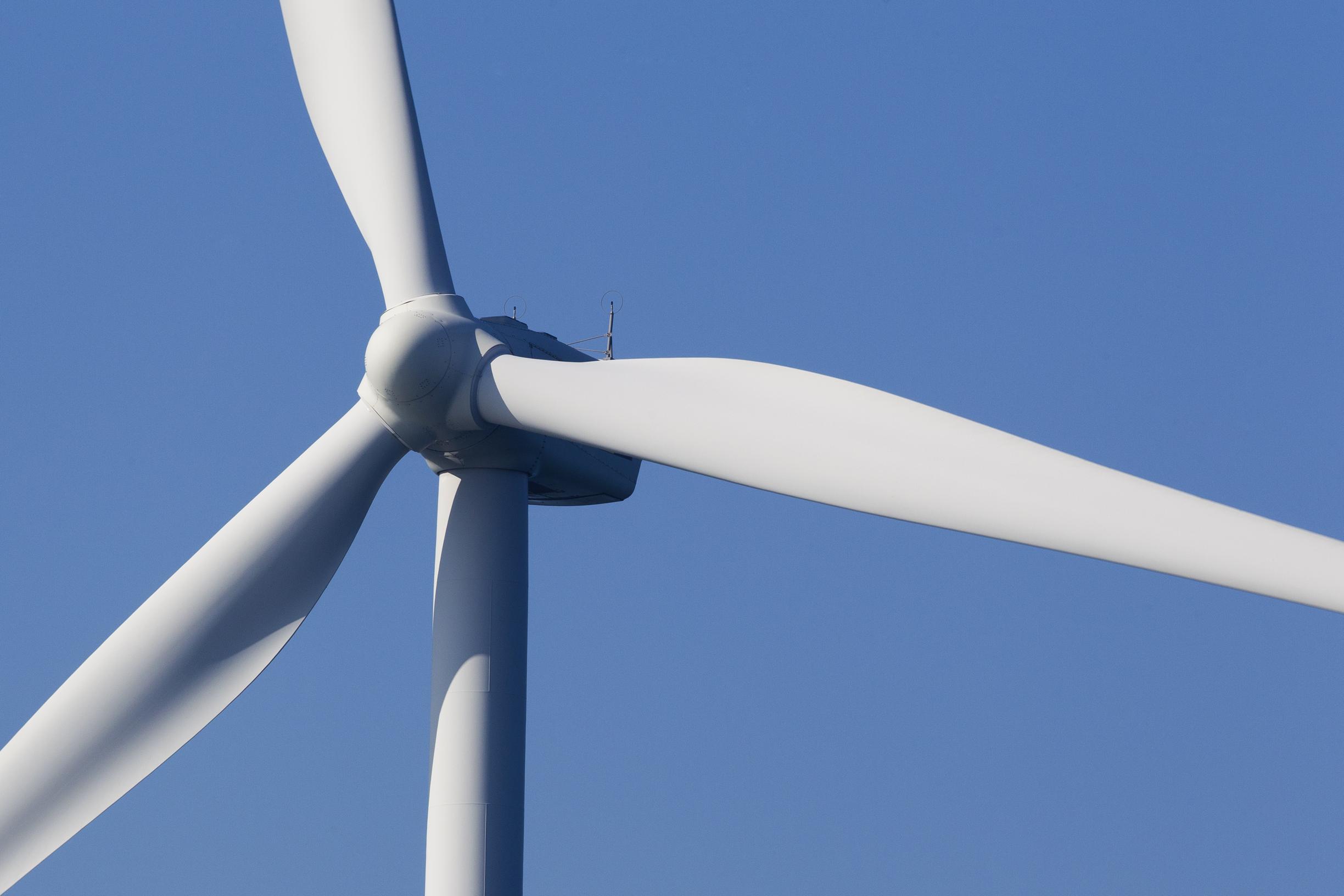 Plan voor mega-windmolens bij Roosteren voorlopig in wachtkamer: ‘We nemen de negatieve beoordeling 