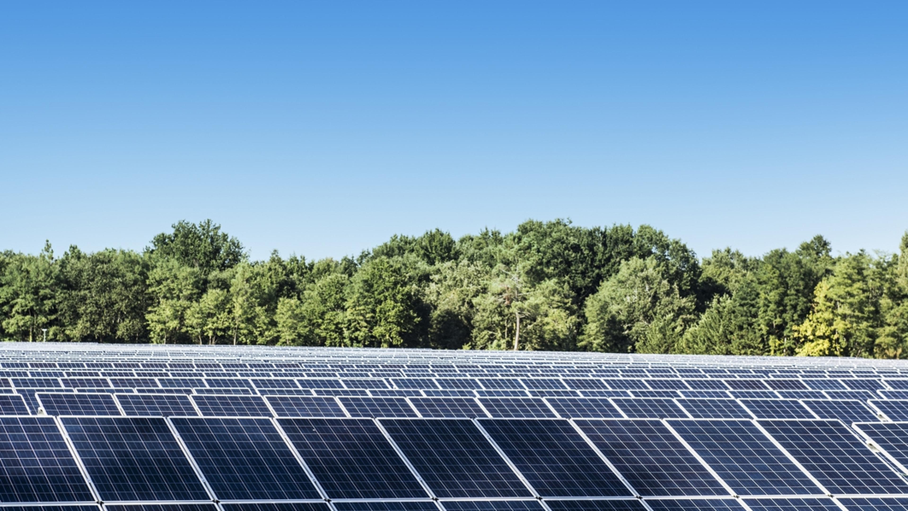 Plan voor zonnepark bij Eckelrade, ongeveer zo groot als het dorp zelf