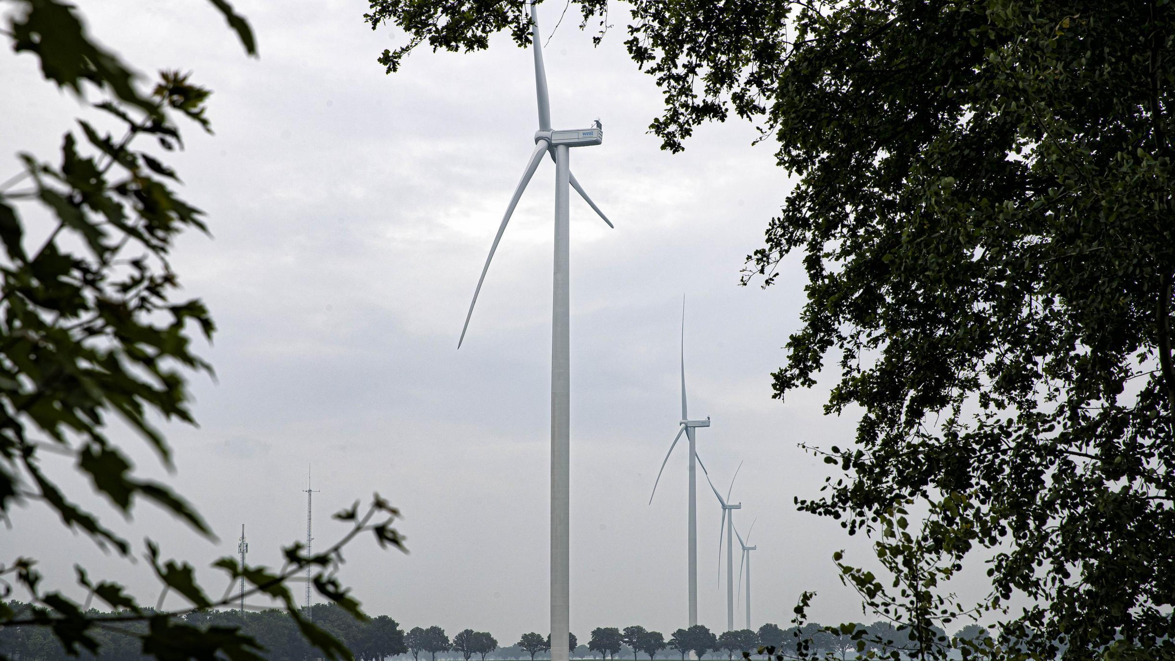 Kans op windmolens van tweehonderd meter of hoger in Sittard-Geleen ‘heel erg klein’: vooral ruimte