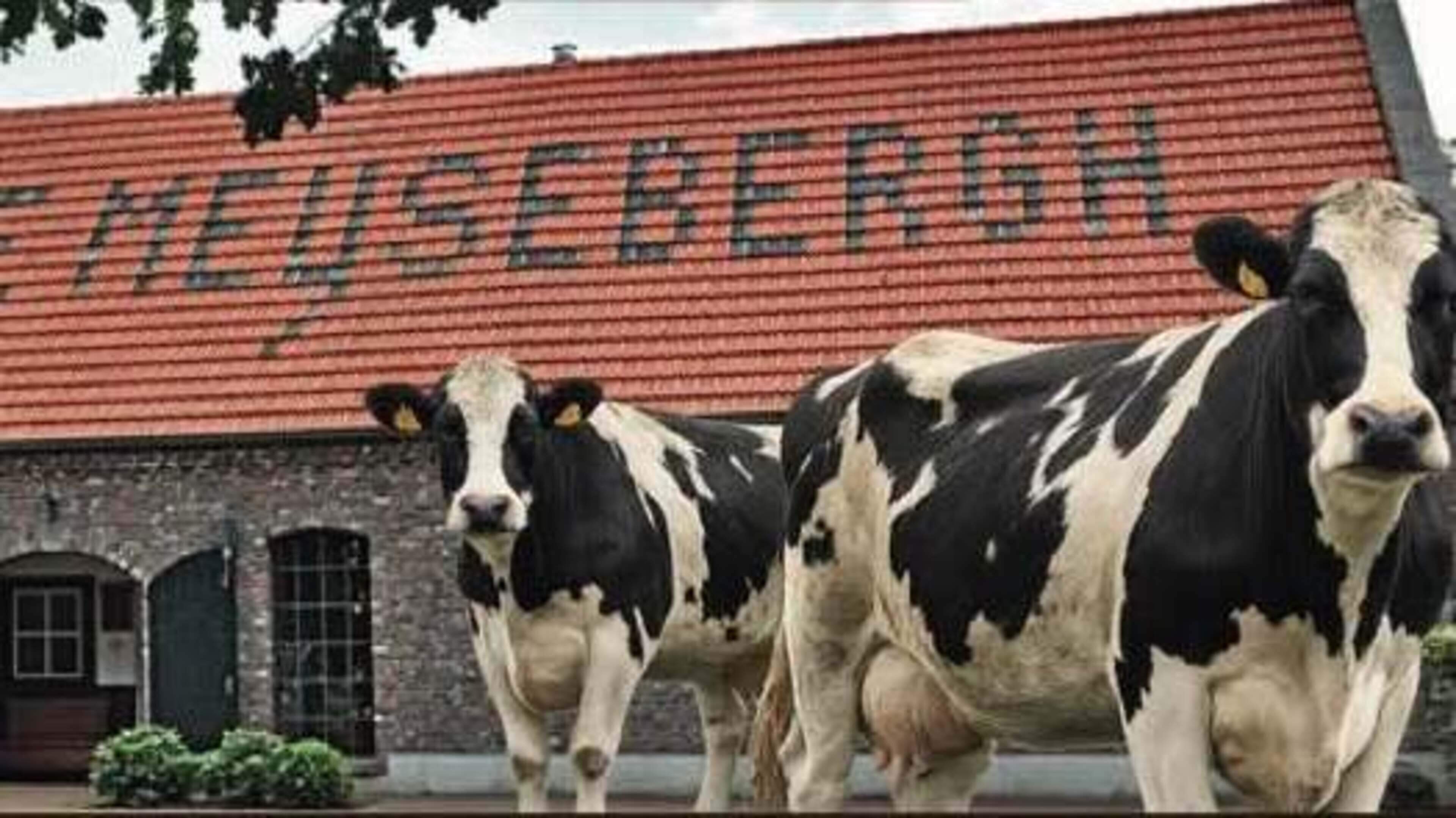 Boerderijfeest bij de monumentale boerderij Op de Meyseberg in Hunsel