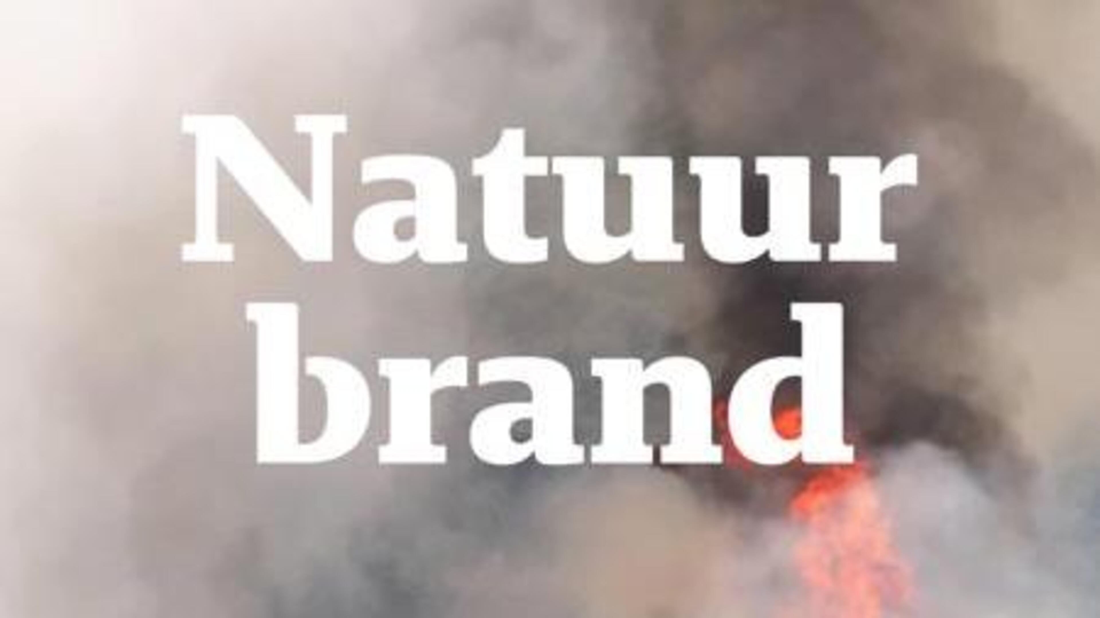 Brand in natuurgebied De Rosmolen in Oostrum