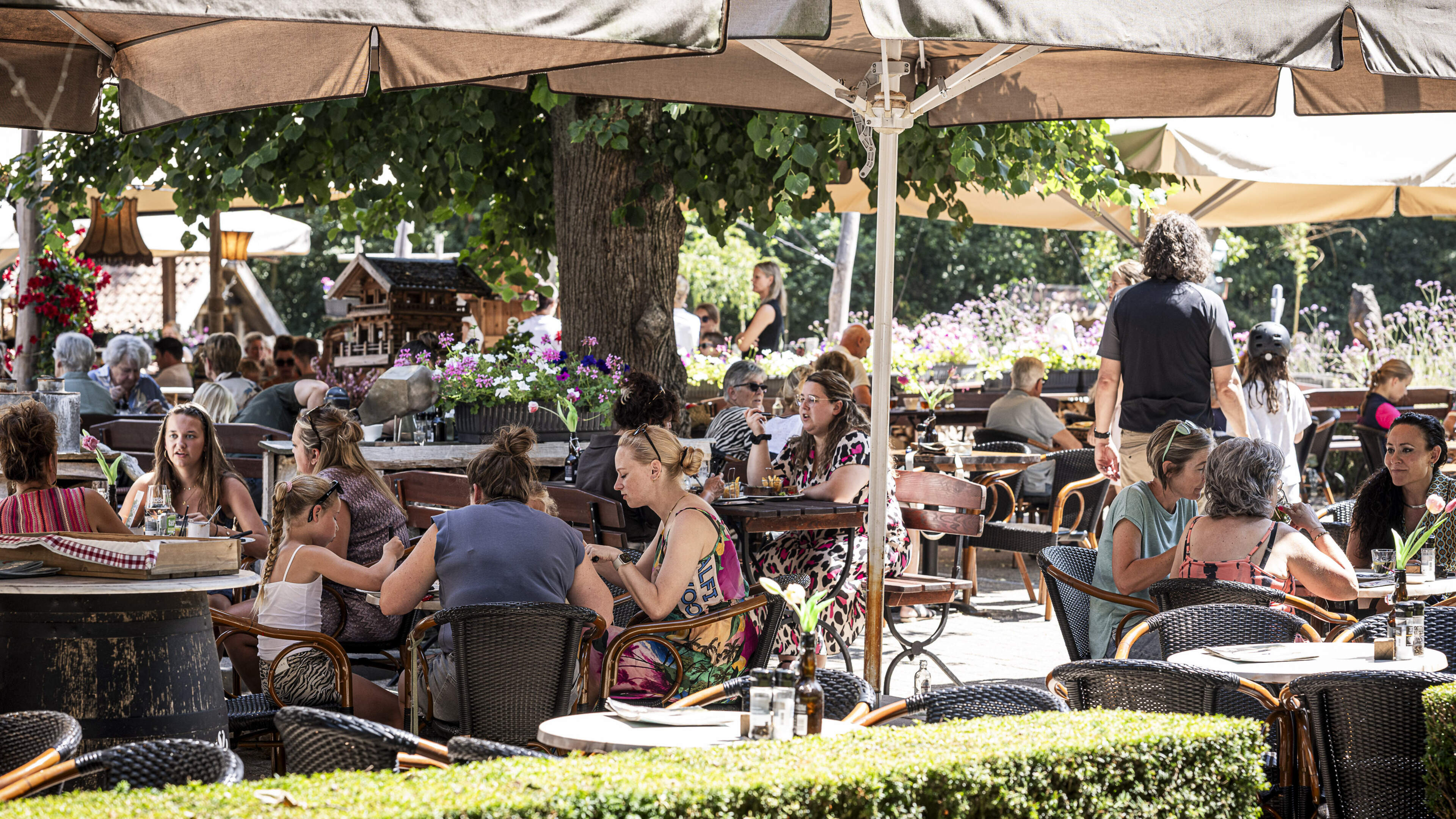 Zomerse hitte: waarom zit het terras van Boscafé De Busjop in Heythuysen vol en zit bij Harry’s in M