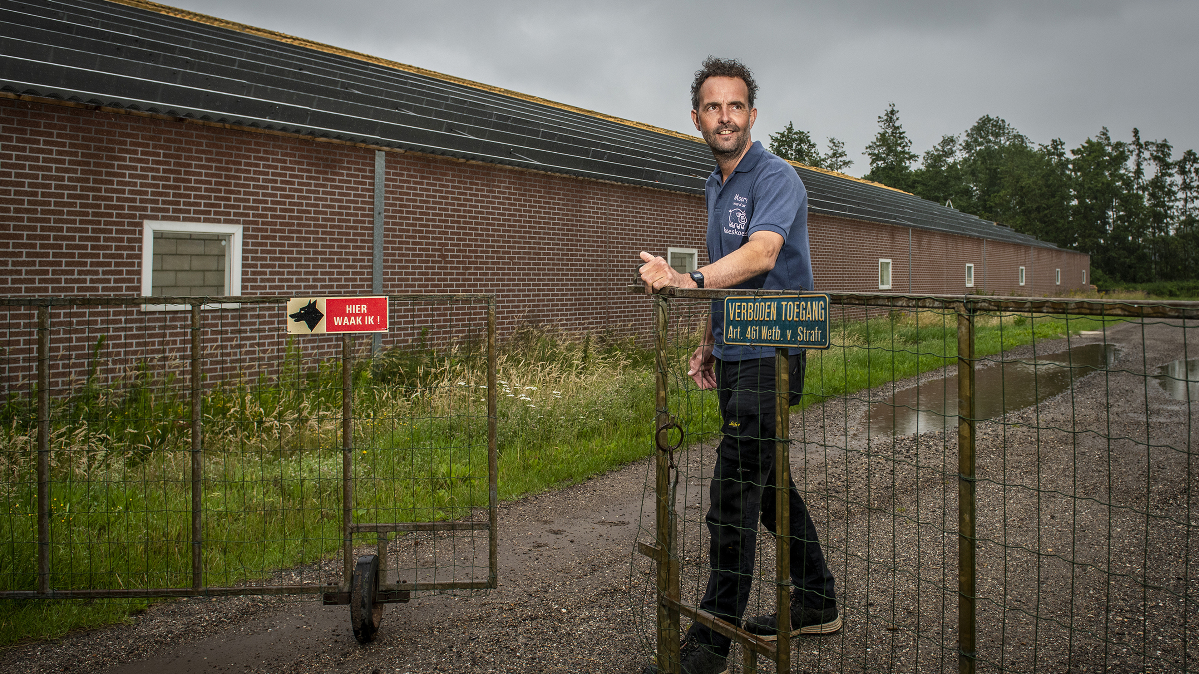 Dik 50 varkensboeren in Limburg stoppen ermee en dat is niet altijd makkelijk: ‘Mijn vader bouwde he