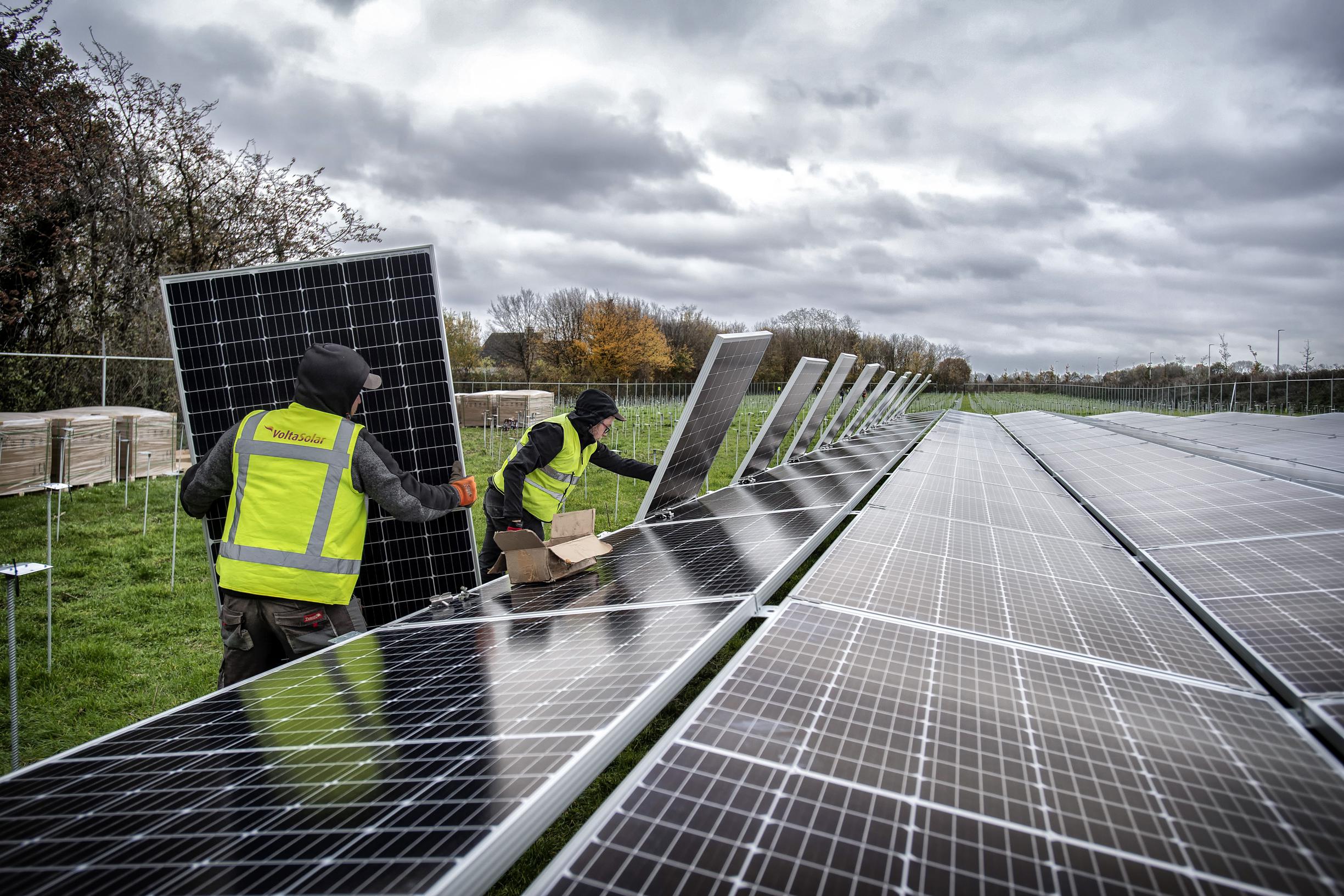 Infoavond over aanleg zonneweide op landgoed Schietecoven bij Ulestraten