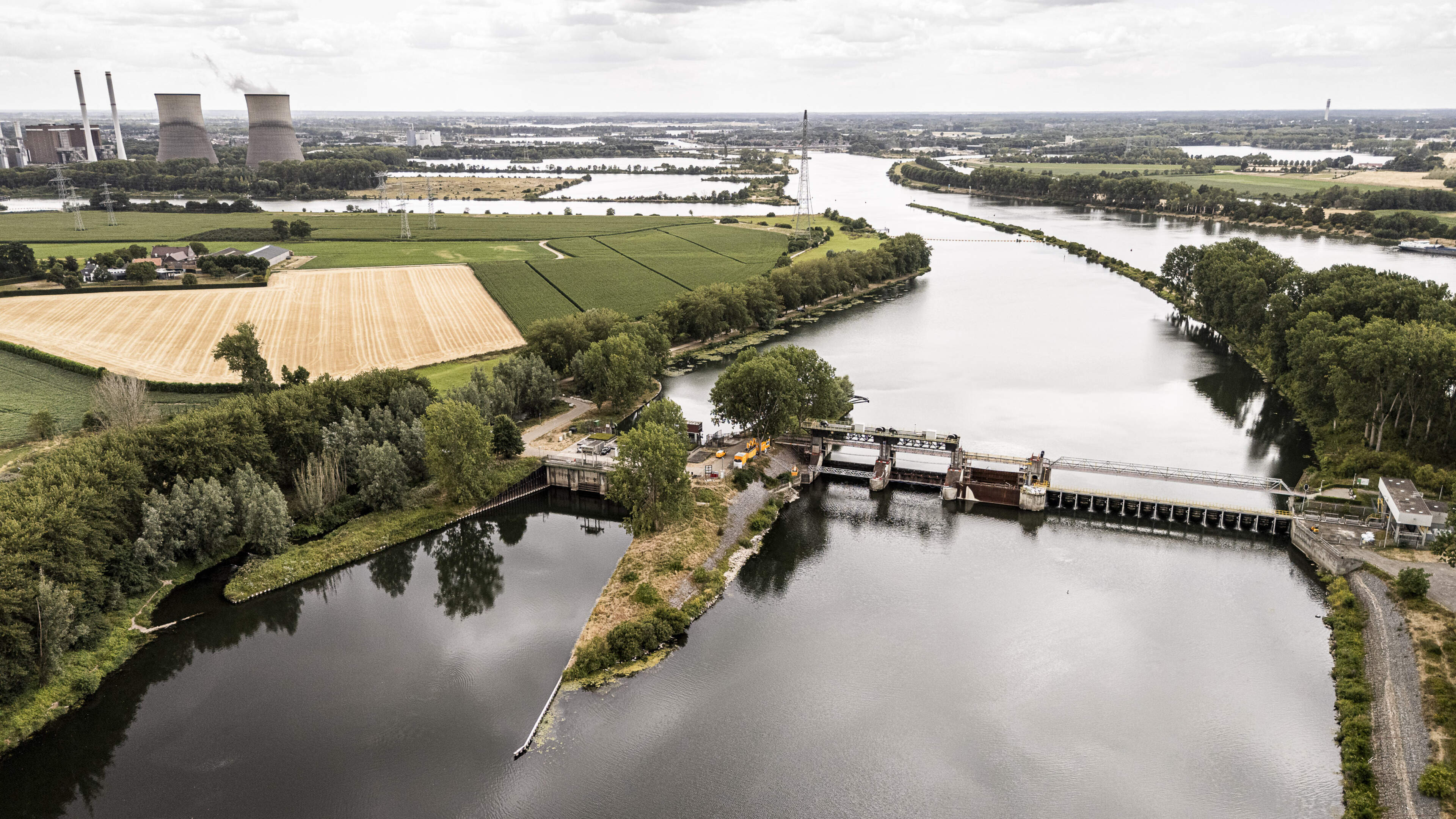 Plantensterfte en lege beken nu grondwaterpeil in Limburg flink zakt