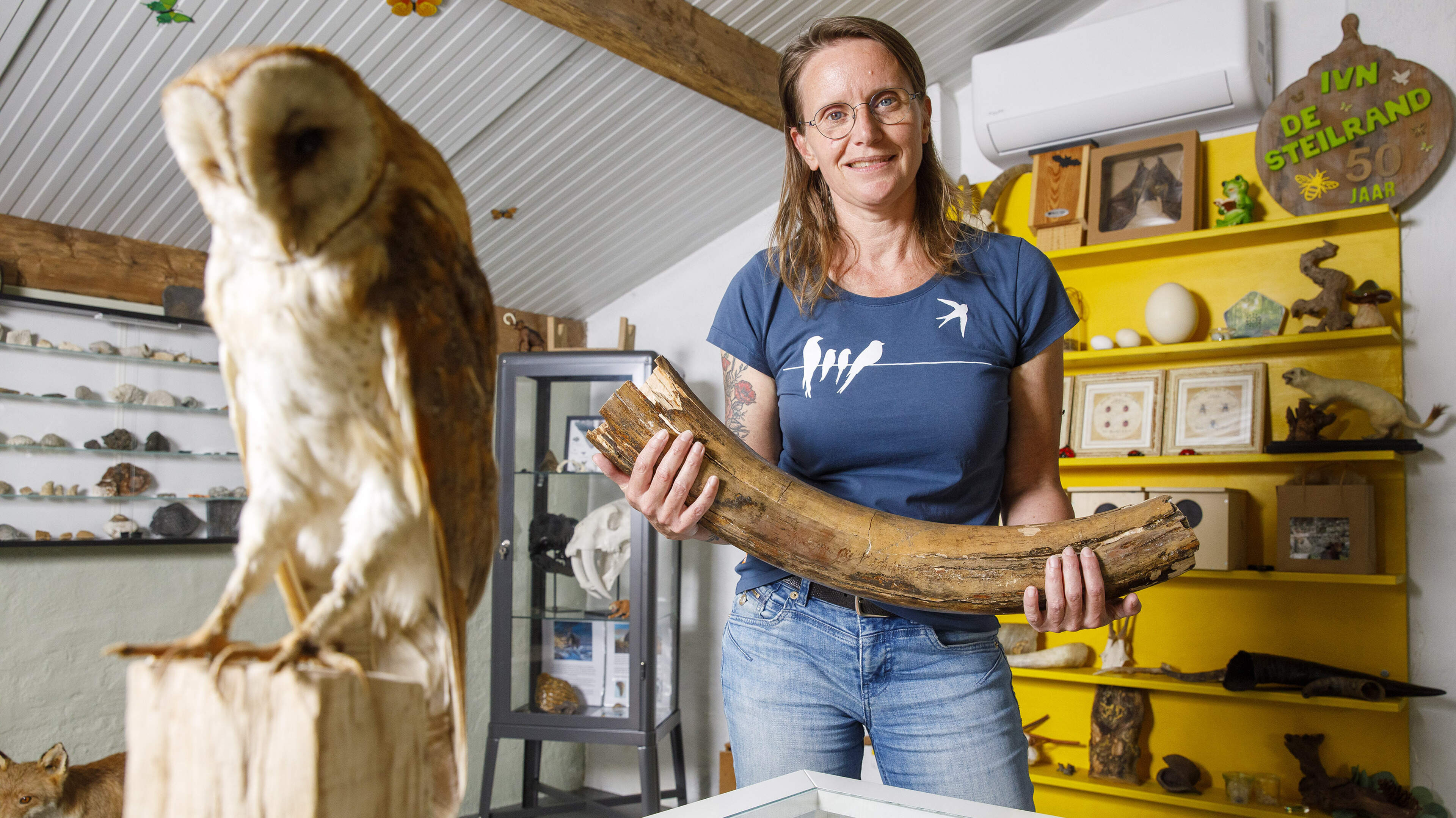 Chantals Natuurmuseum in Reuver is klein maar fijn: ‘Als je de fantasie van kinderen prikkelt, wordt