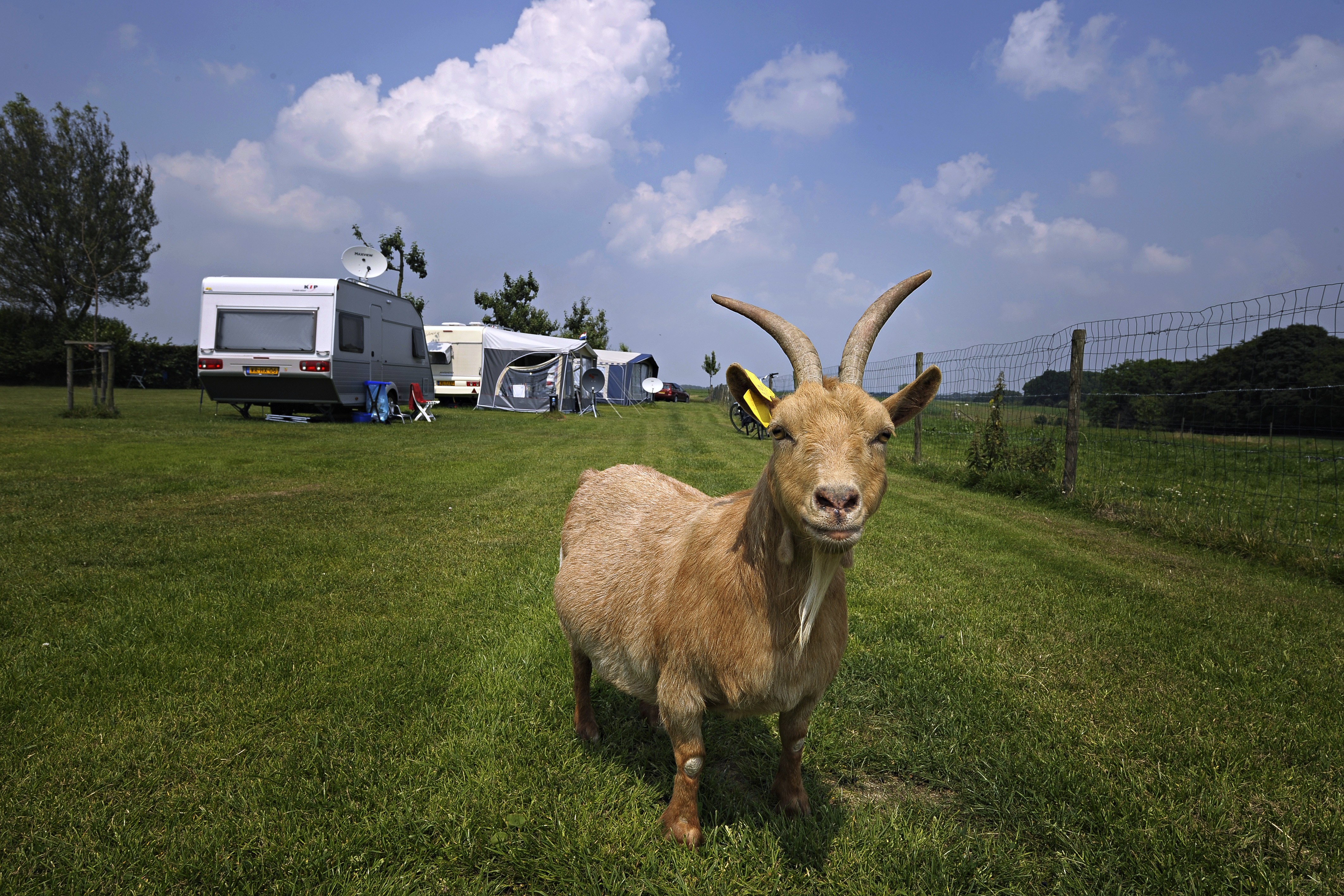 Raad van State fluit Eijsden-Margraten terug: plan rond uitbreiding kampeerboerderij moet opnieuw