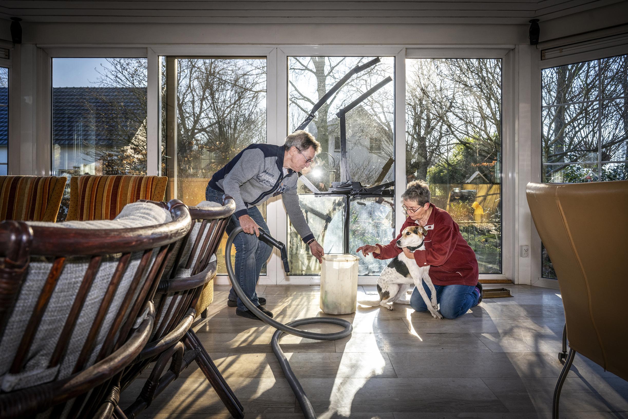 Everzwijn stormt dwars door glazen pui naar binnen als Jeanne en Wim uit Roggel net aan de eettafel 