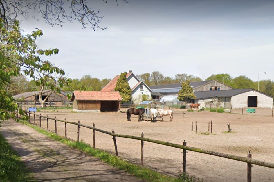 ‘Illegale manege’ Blue Stables in Weert moet stoppen op last van dwangsom