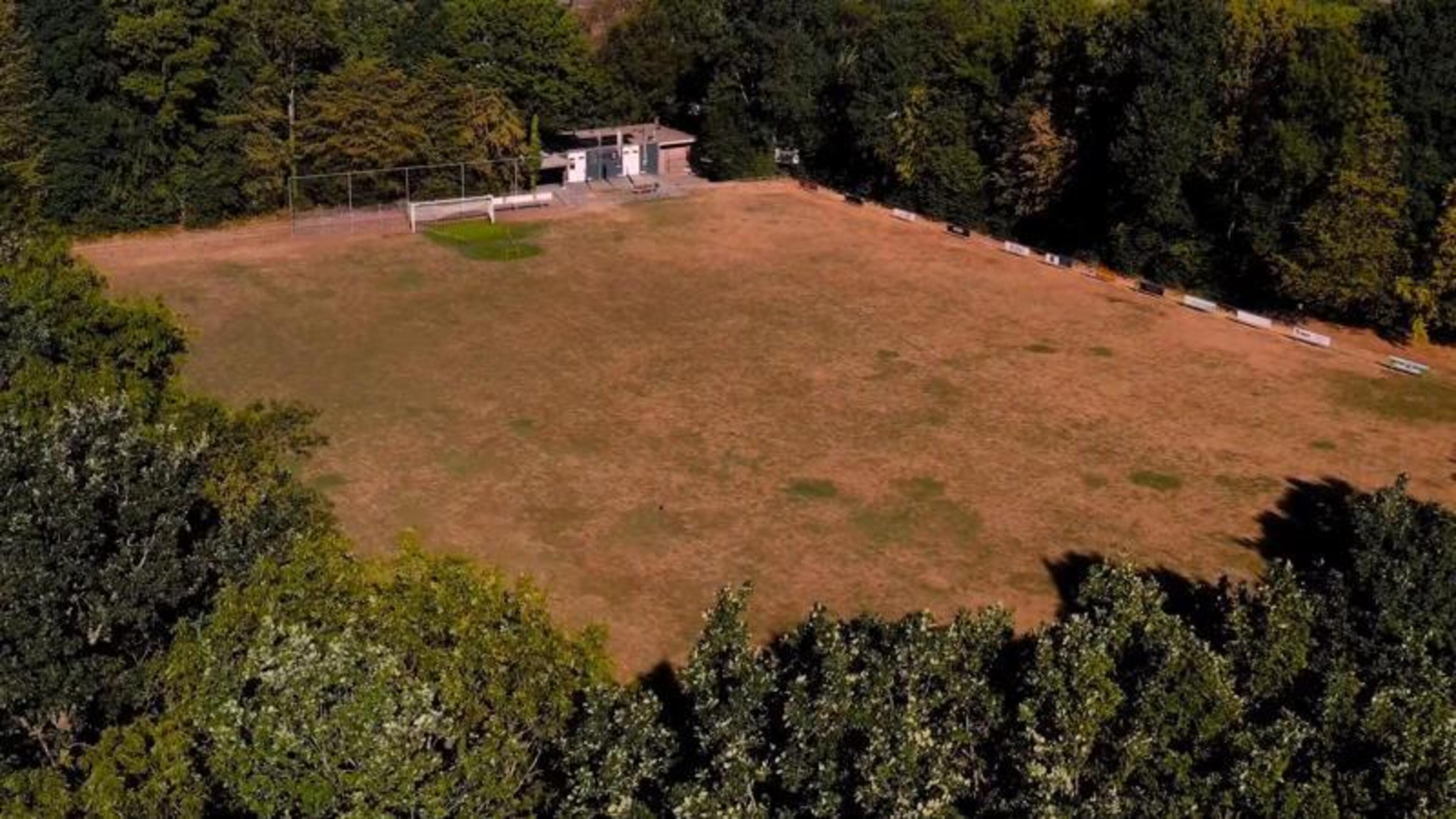 Hoe langer de droogte aanhoudt, hoe ingewikkelder de puzzel voor amateurclubs wordt: ‘Misschien weds